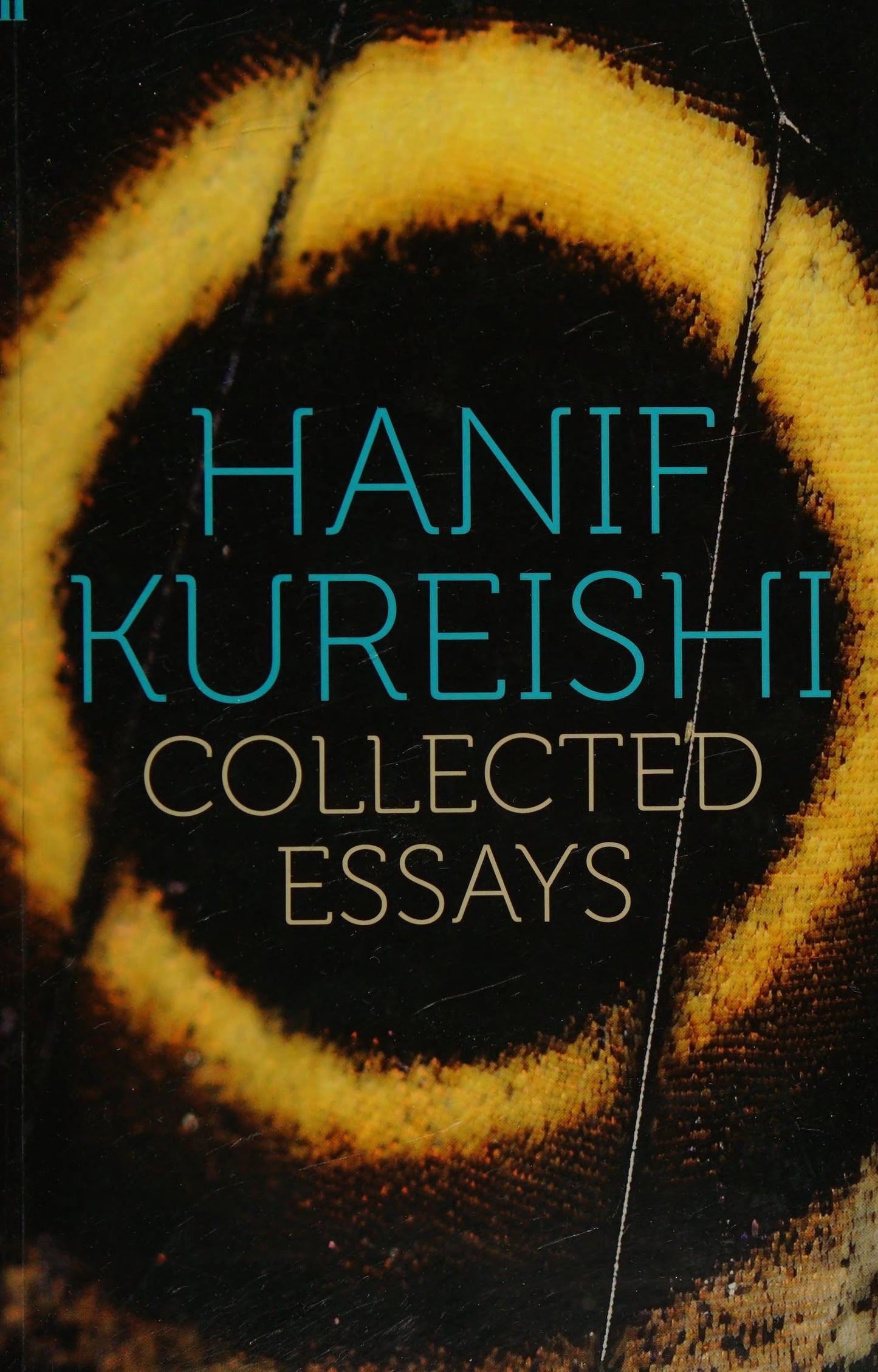 Collected Essays by Hanif Kureishi