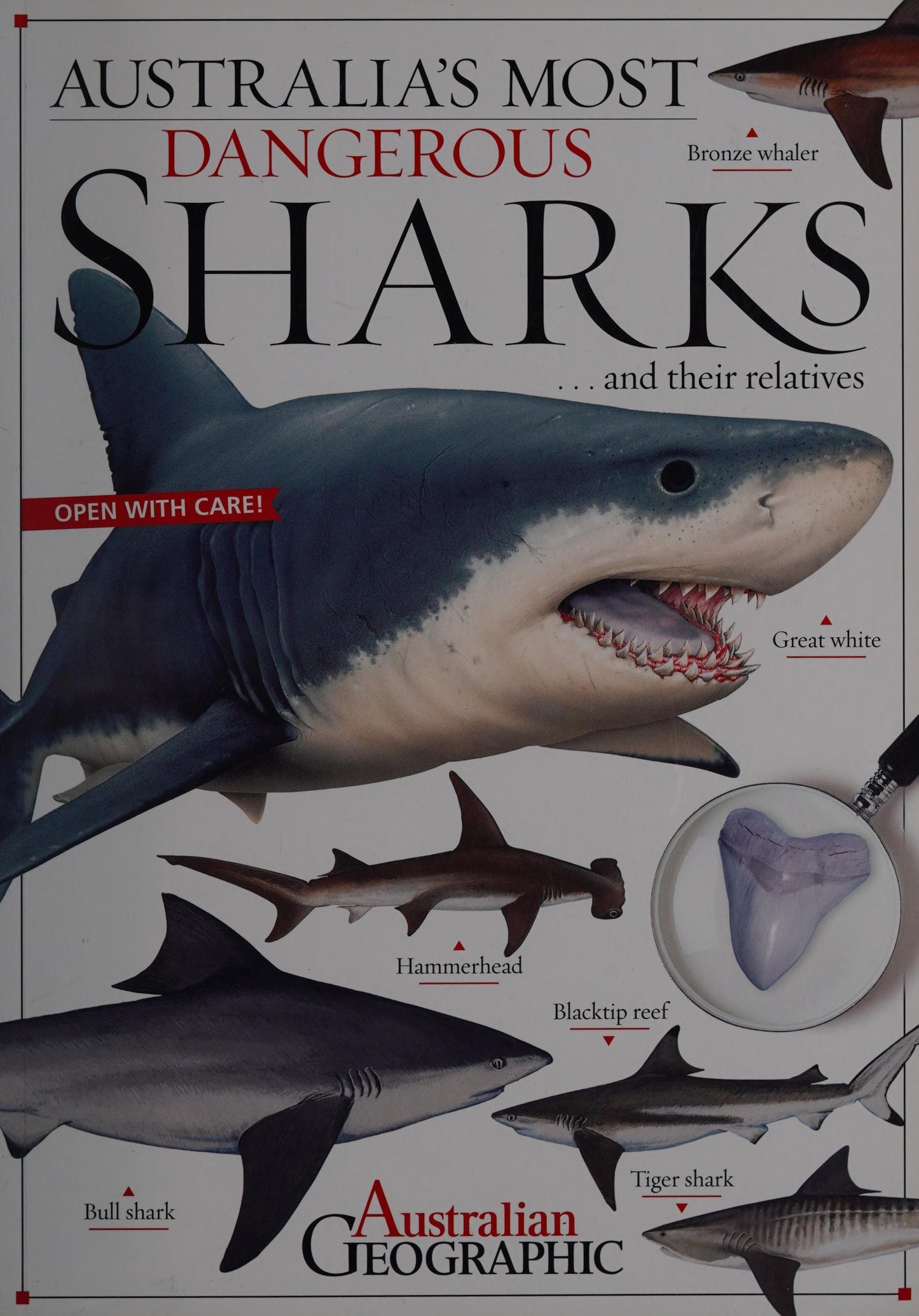 Australia's Most Dangerous Sharks by Australian Geographic,Kathy Riley Australian Geographic