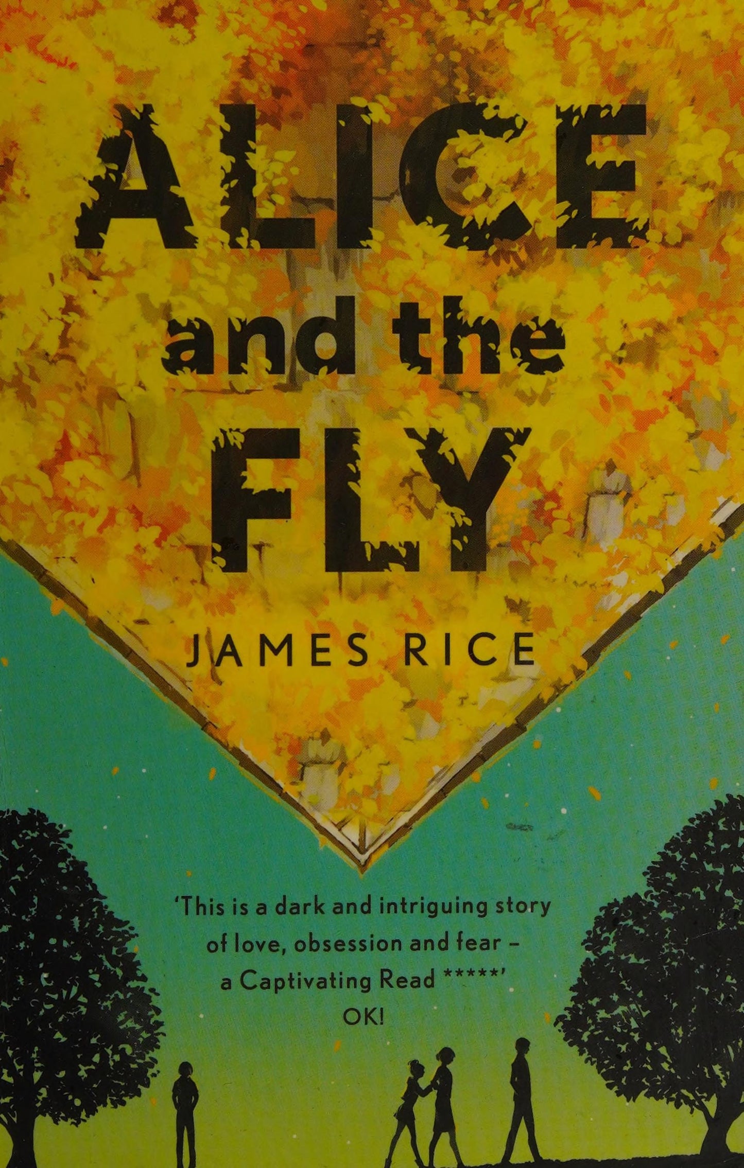 Alice and the Fly by James Rice