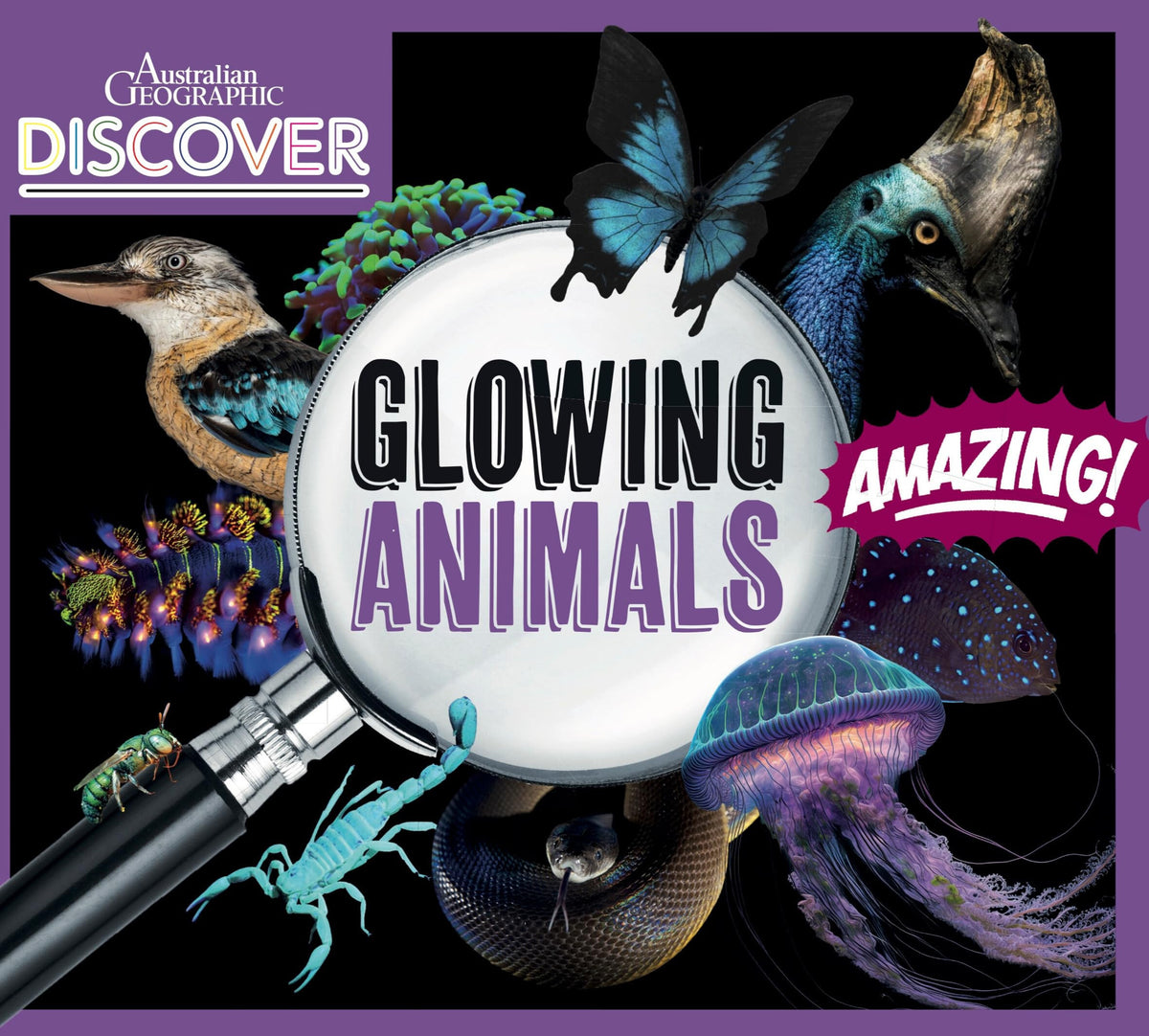 Glowing Animals Amazing! by Australian Geographic,Timothy Jackson