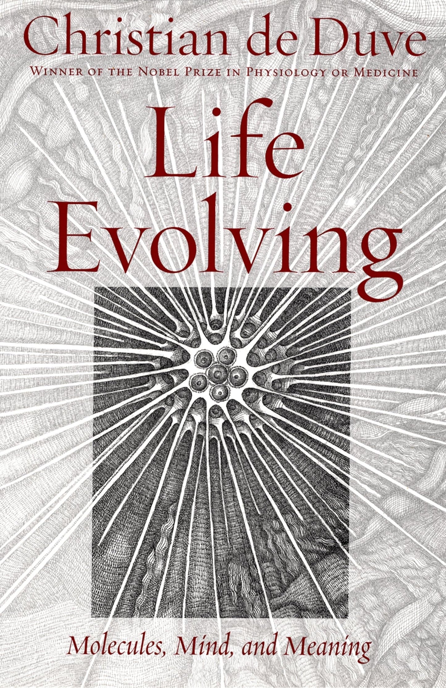 Life Evolving Molecules, Mind, and Meaning by Christian De Duve - USED