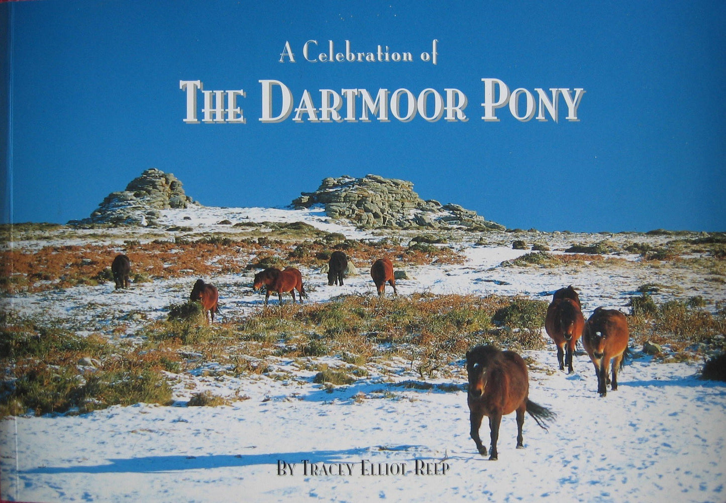 A Celebration of the Dartmoor Pony by Tracey Elliot-Reep - USED