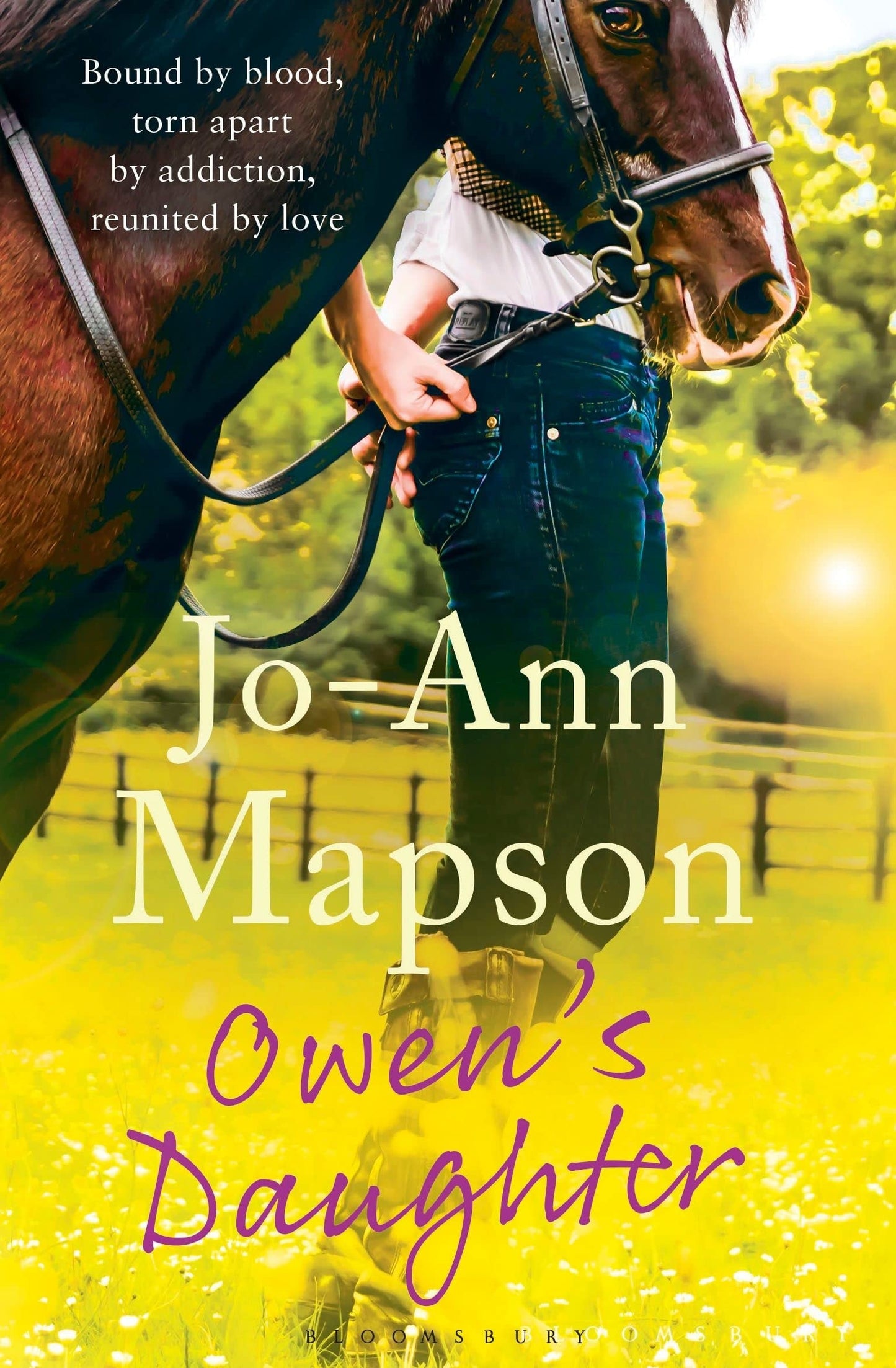 Owen's Daughter by Jo-Ann Mapson