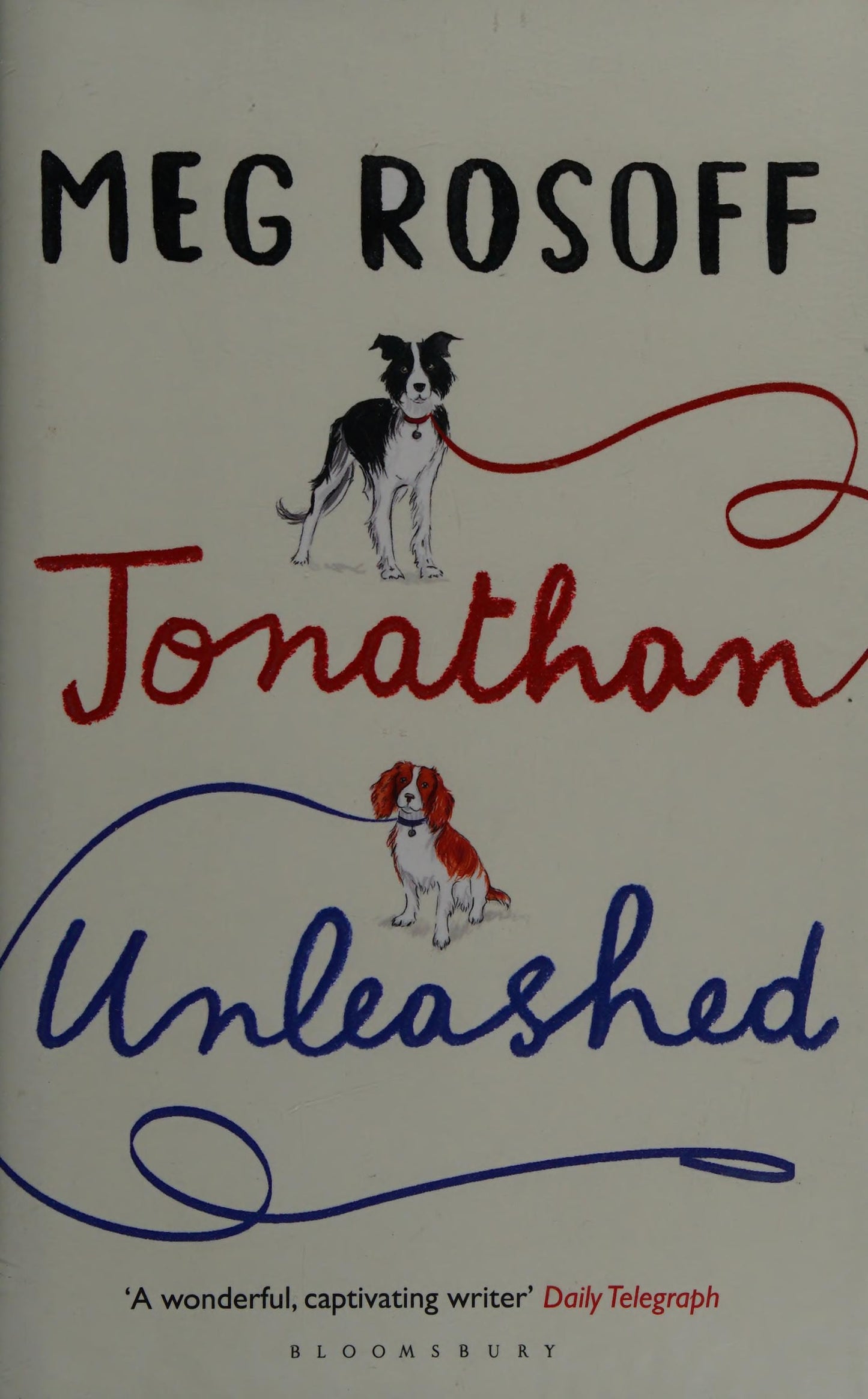 Jonathan Unleashed by Meg Rosoff