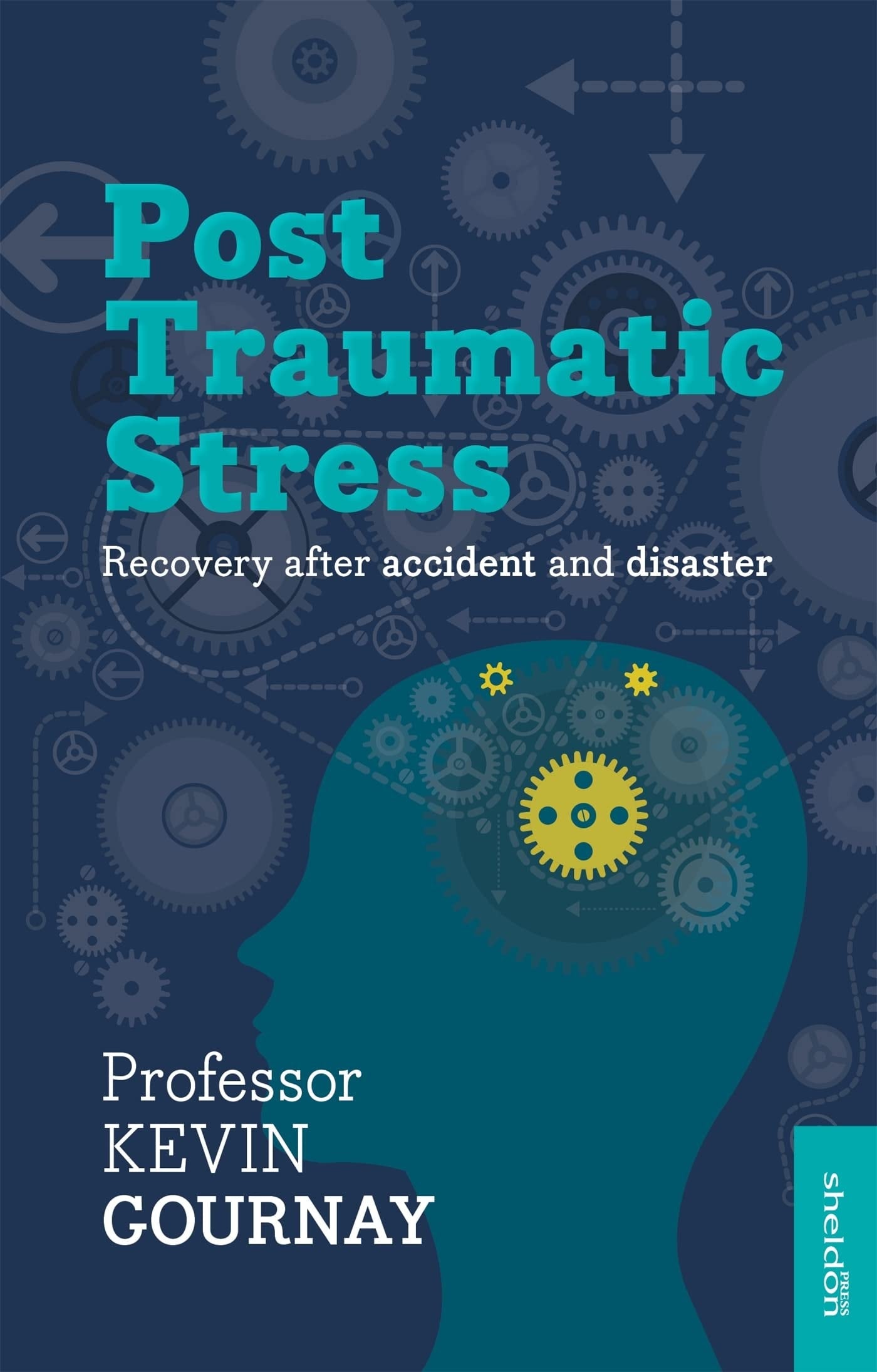 Post-Traumatic Stress Disorder Recovery After Accident and Disaster by Kevin Gournay