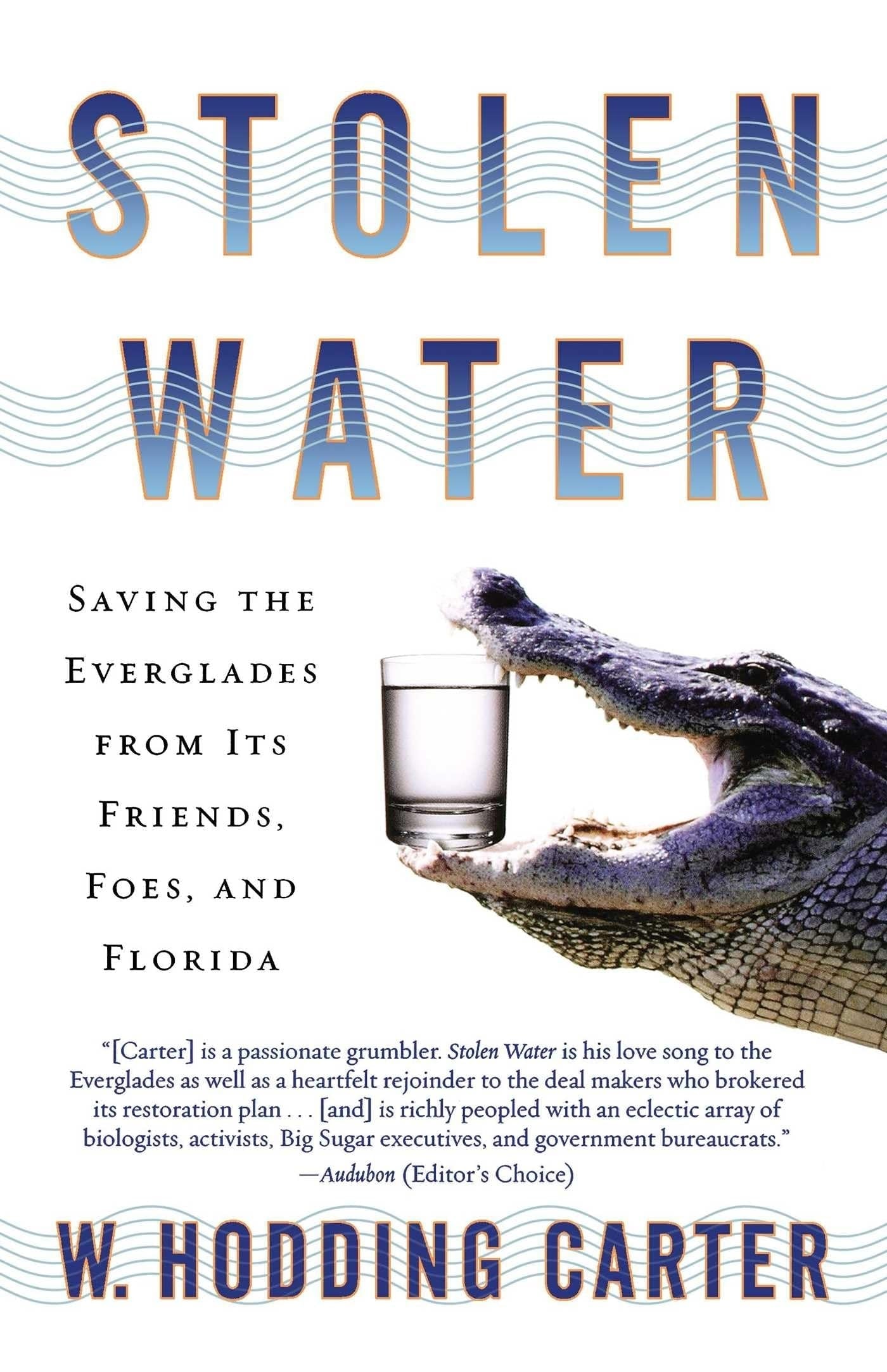 Stolen Water Saving the Everglades from Its Friends, Foes, and Florida by W. Hodding Carter