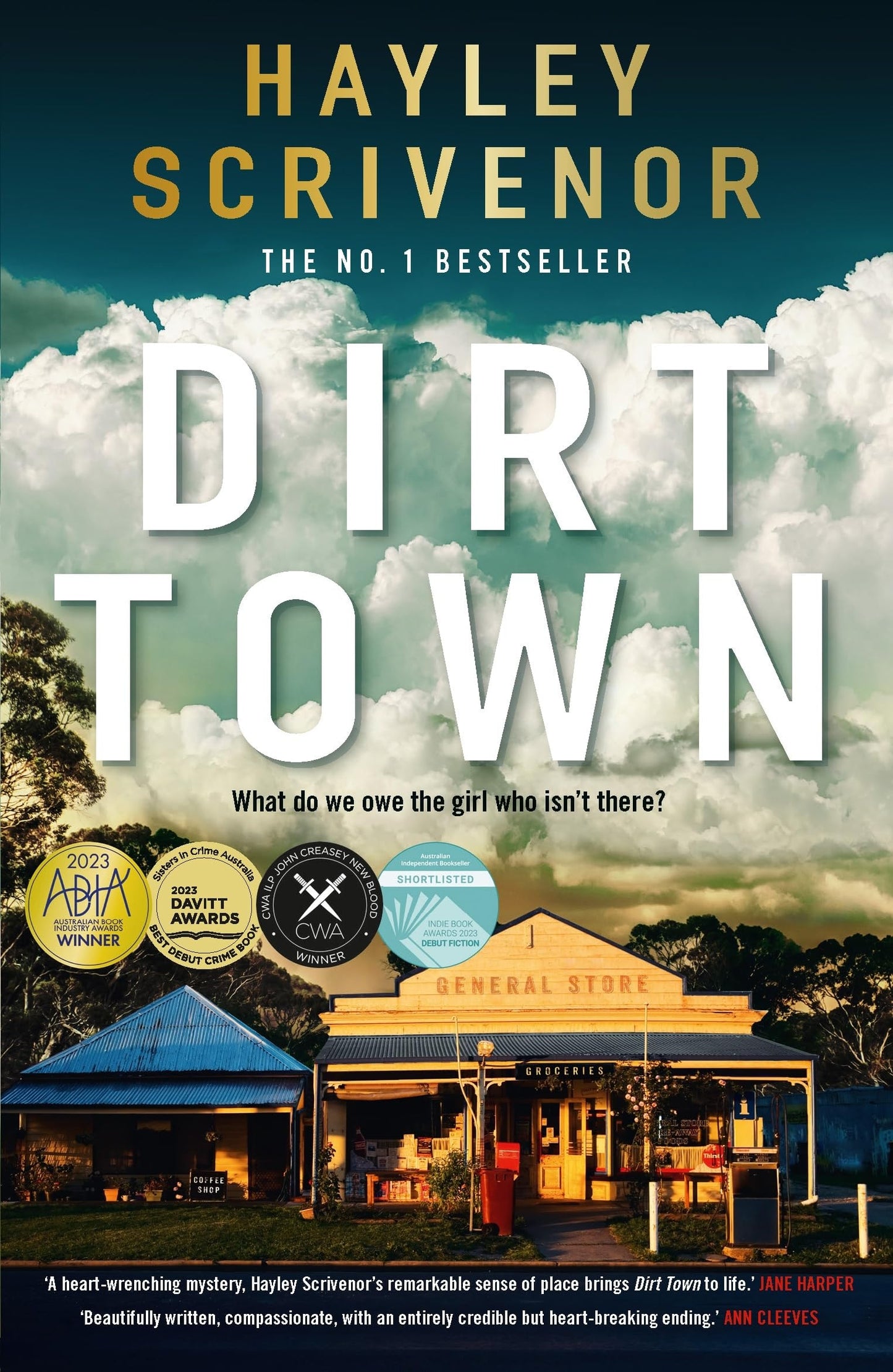 Dirt Town by Hayley Scrivenor - USED