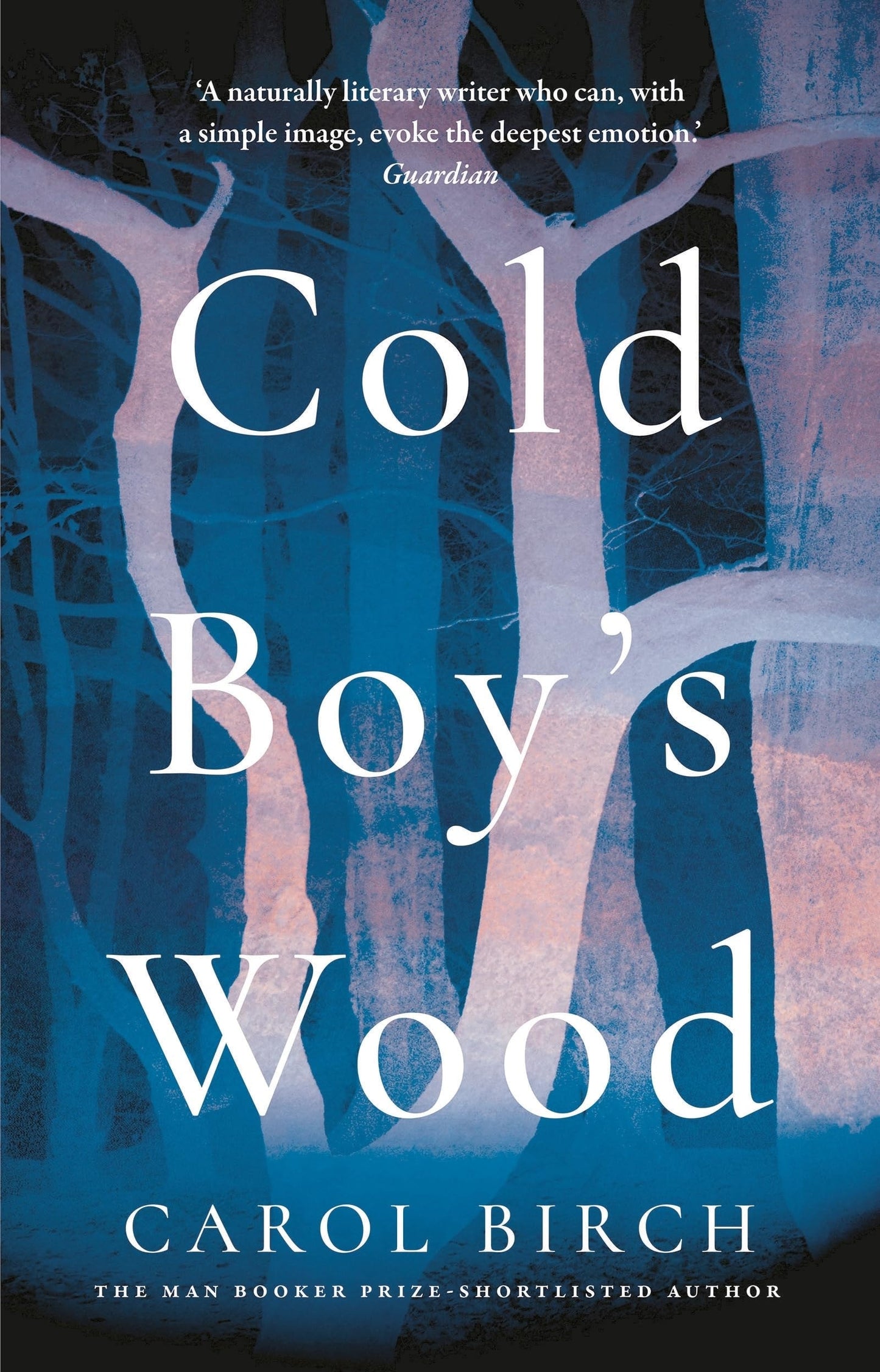 Cold Boy's Wood by Carol Birch