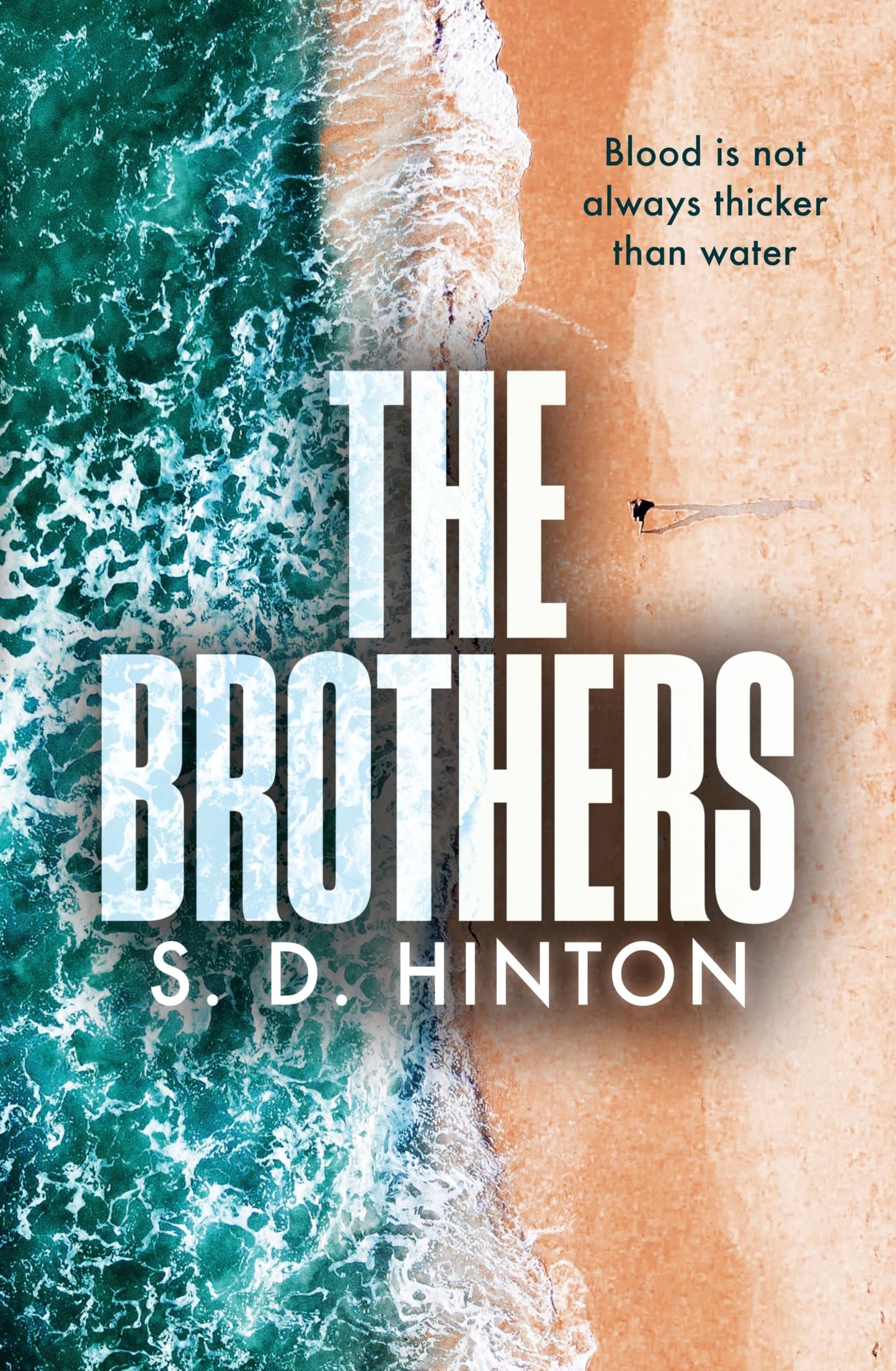 The Brothers by S D. Hinton