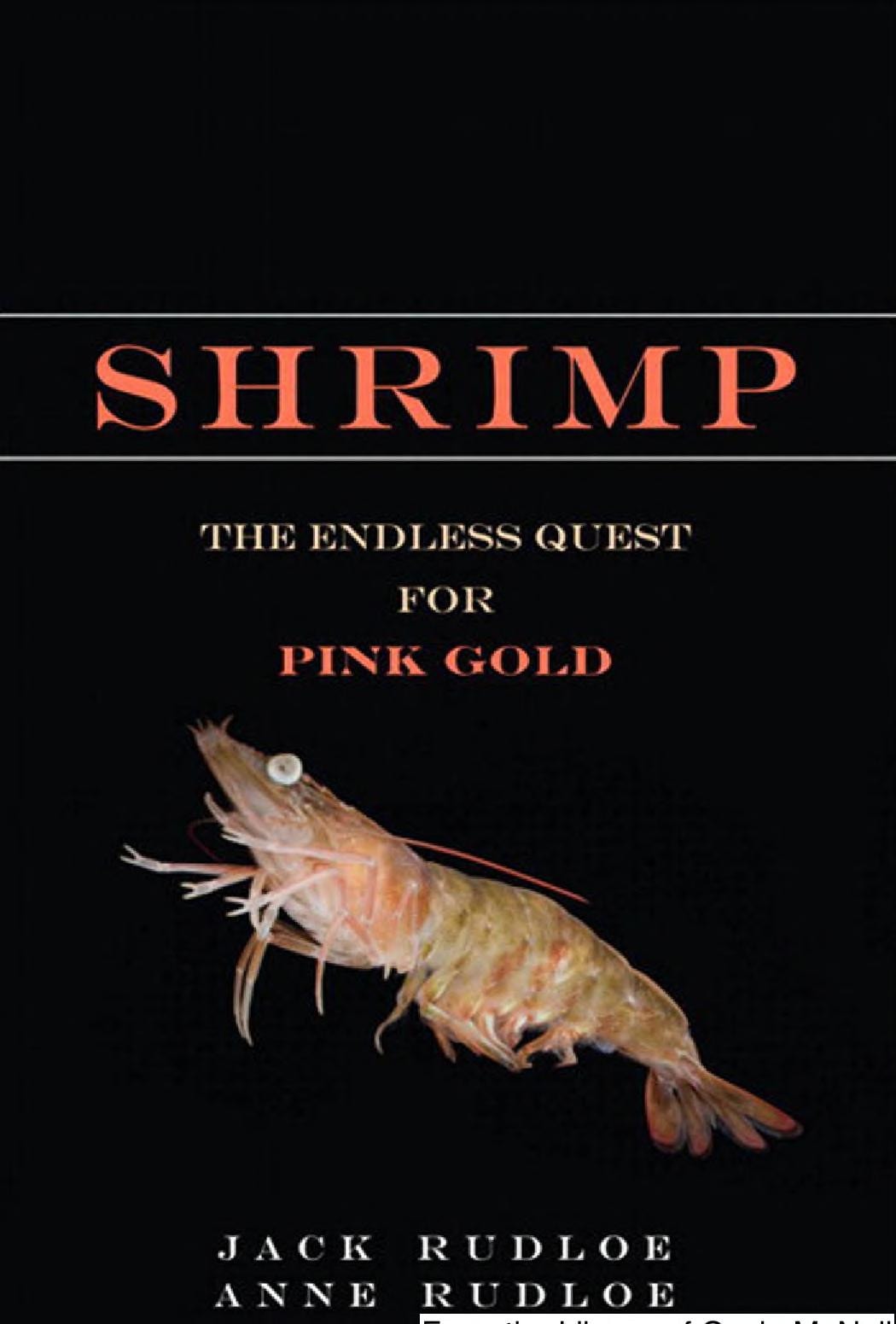 Shrimp The Endless Quest for Pink Gold by Jack Rudloe,Anne Rudloe