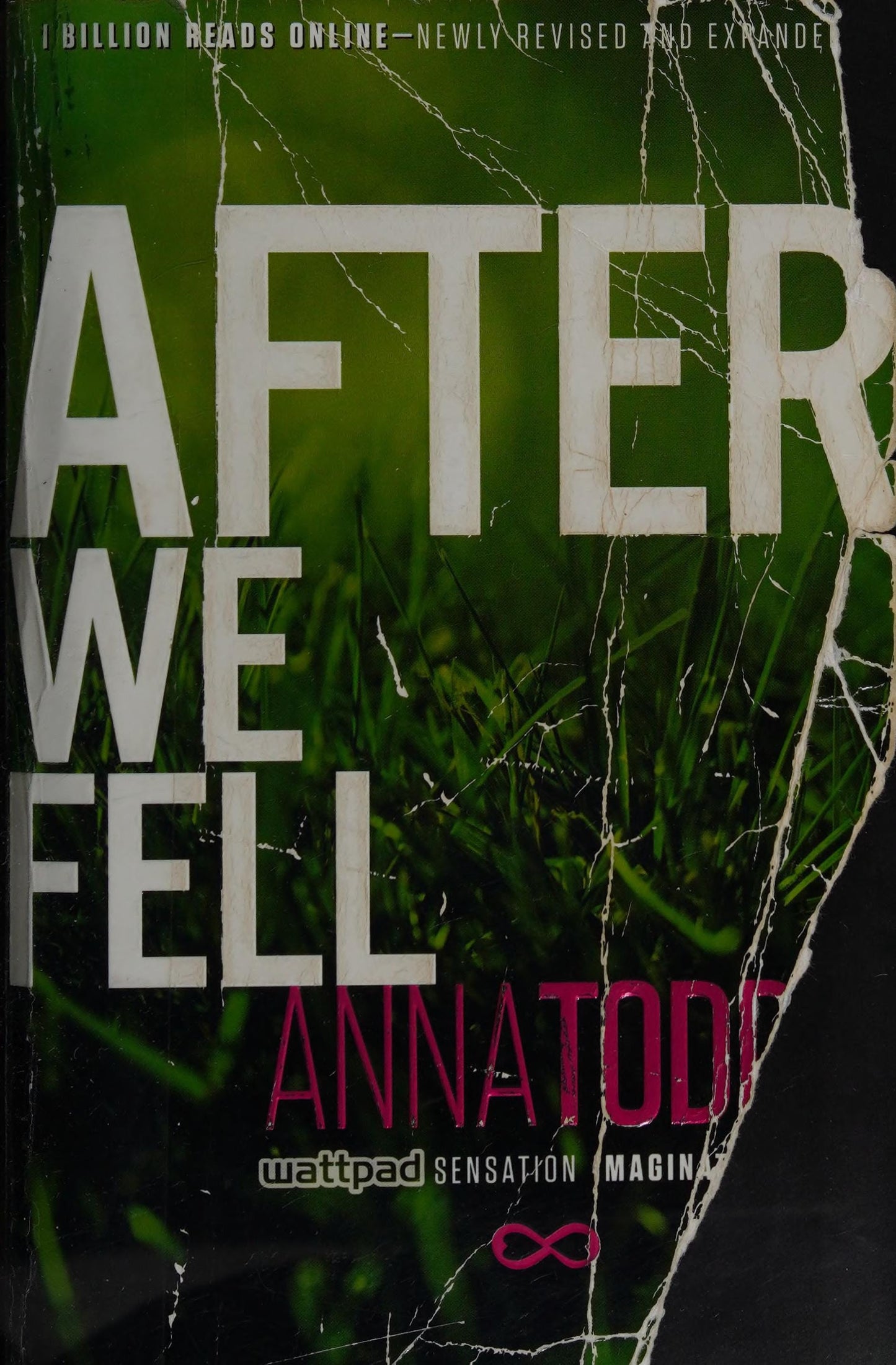 After We Fell by Anna Todd - USED