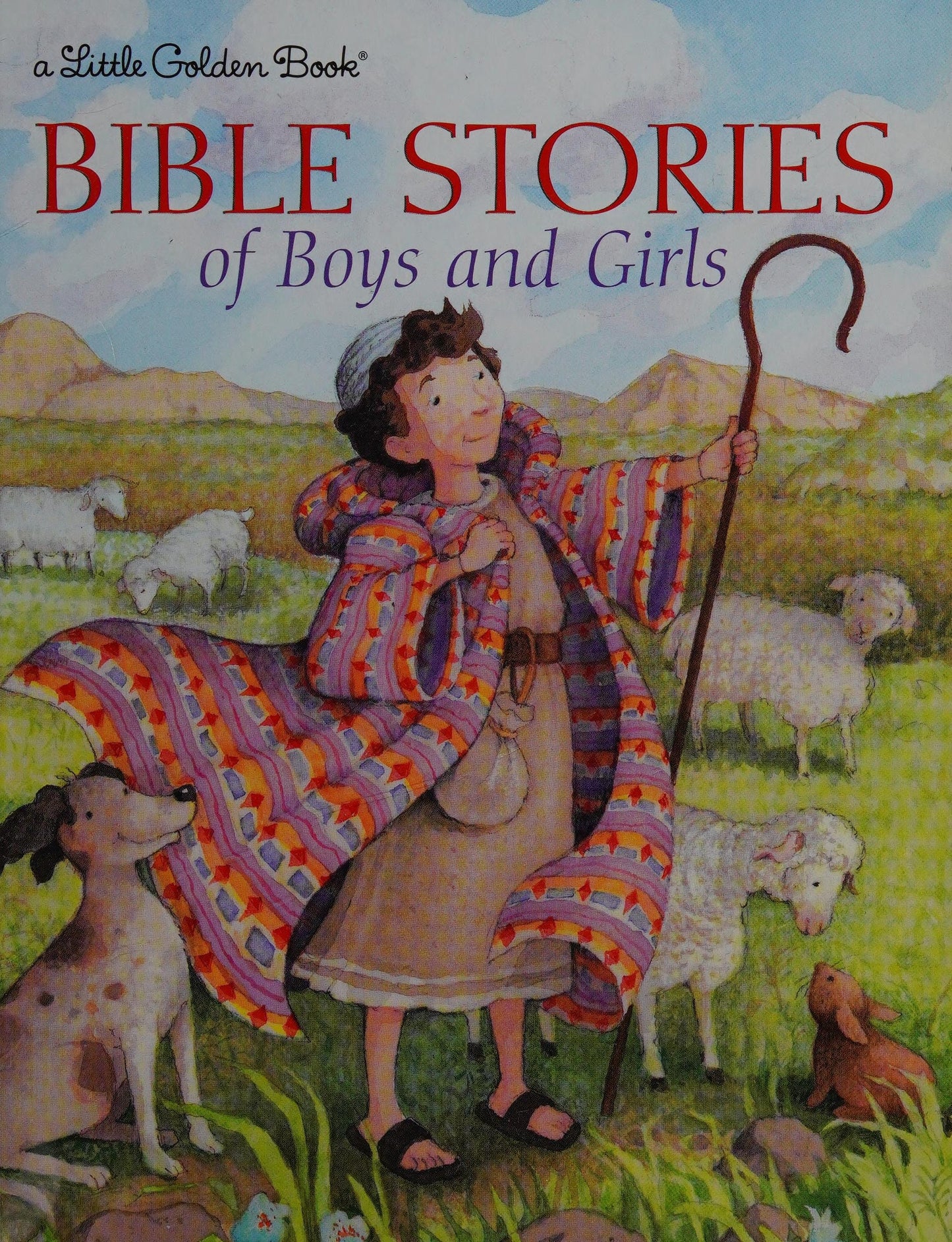 Bible Stories of Boys and Girls by Christin Ditchfield