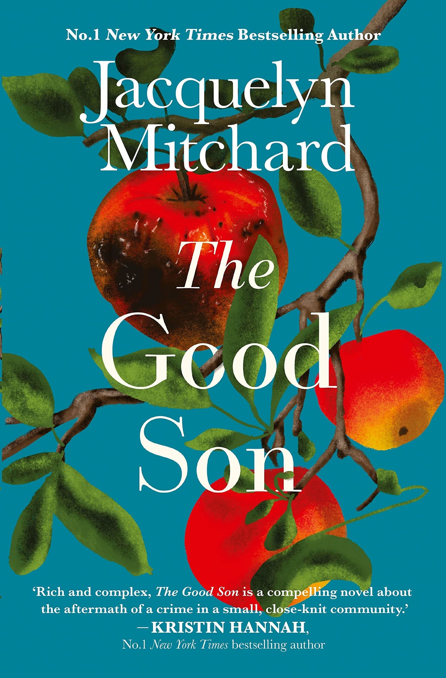 The Good Son by Jacquelyn Mitchard