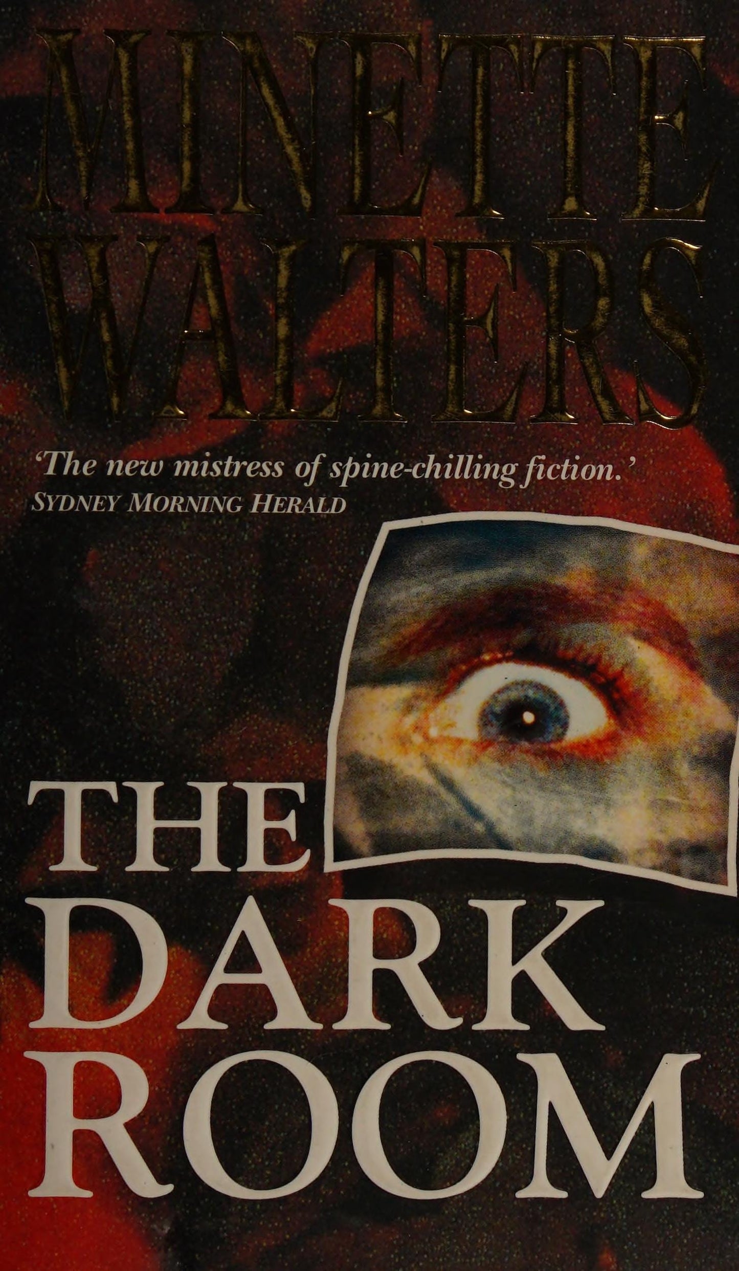 The Dark Room by Minette Walters - USED