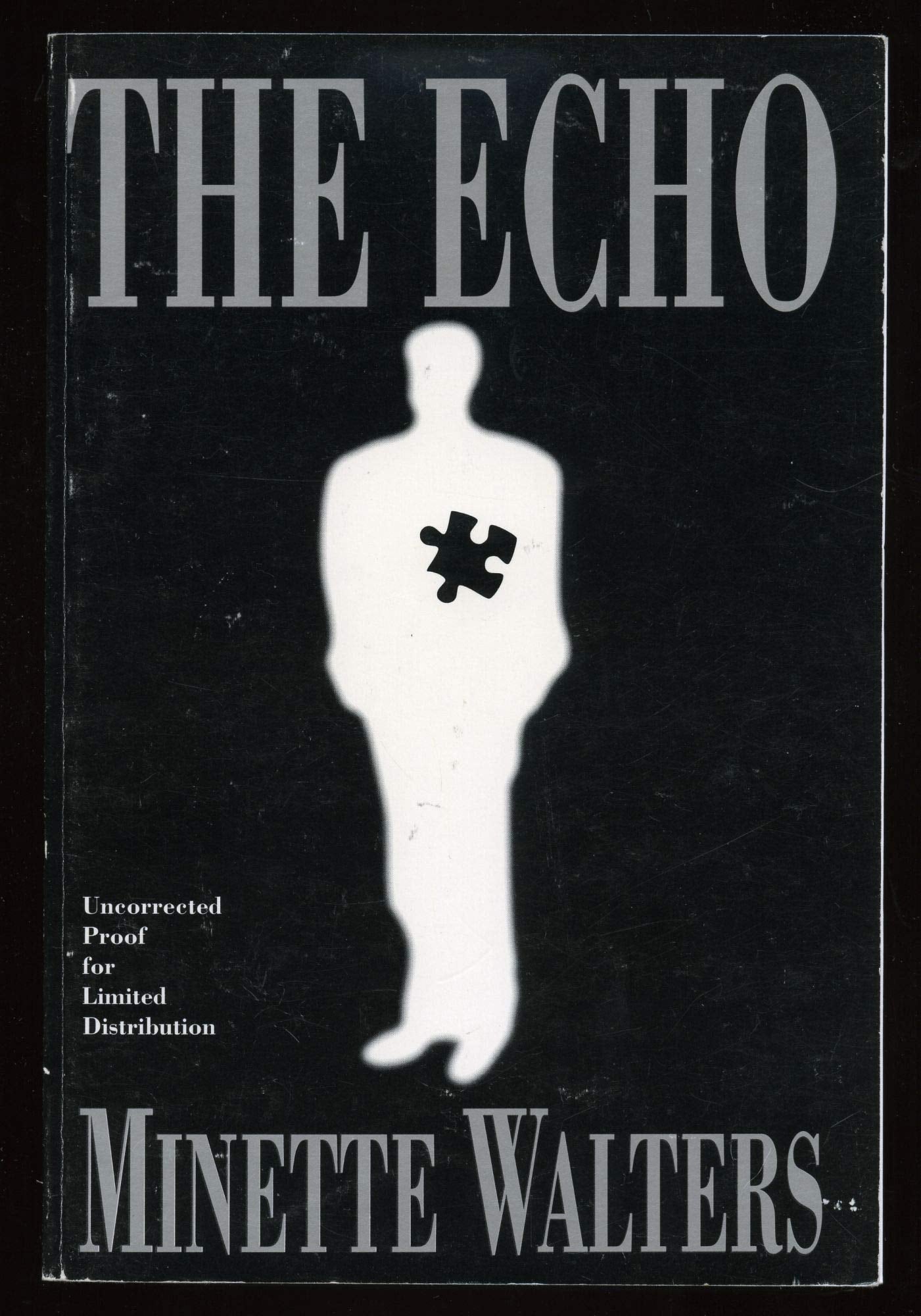 The Echo by Minette Walters - USED