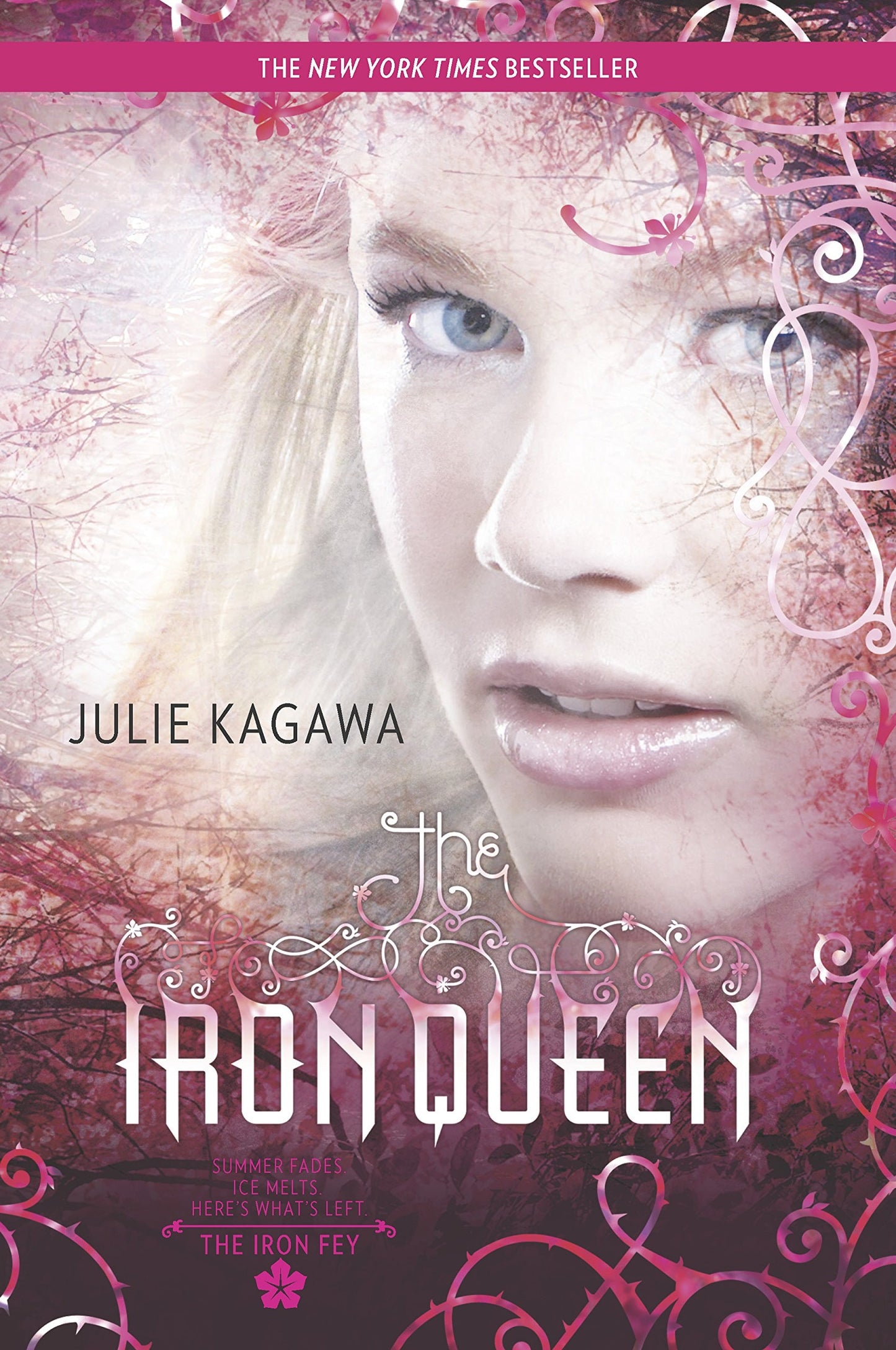 The Iron Queen (Iron Fey) by Julie Kagawa - USED Harlequin Teen