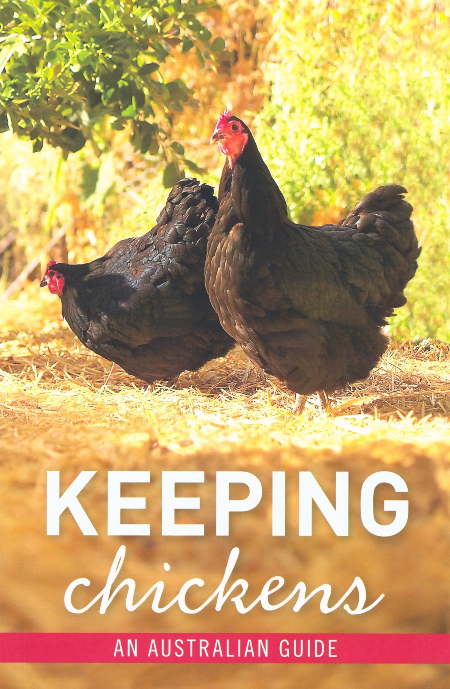 Keeping Chickens An Australian Guide by Gordon Kerr,Nicolas Brasch