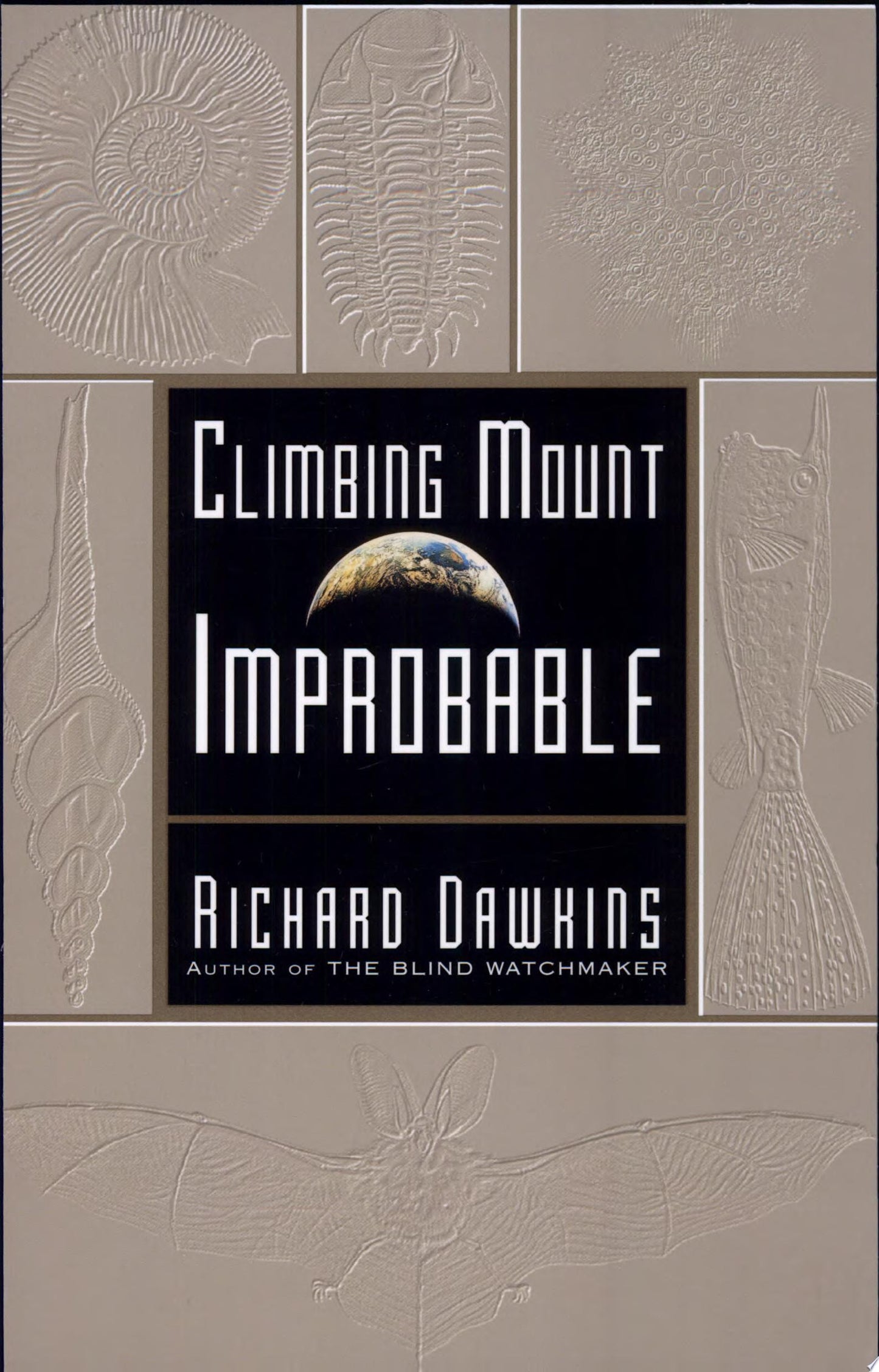 Climbing Mount Improbable by Richard Dawkins - USED