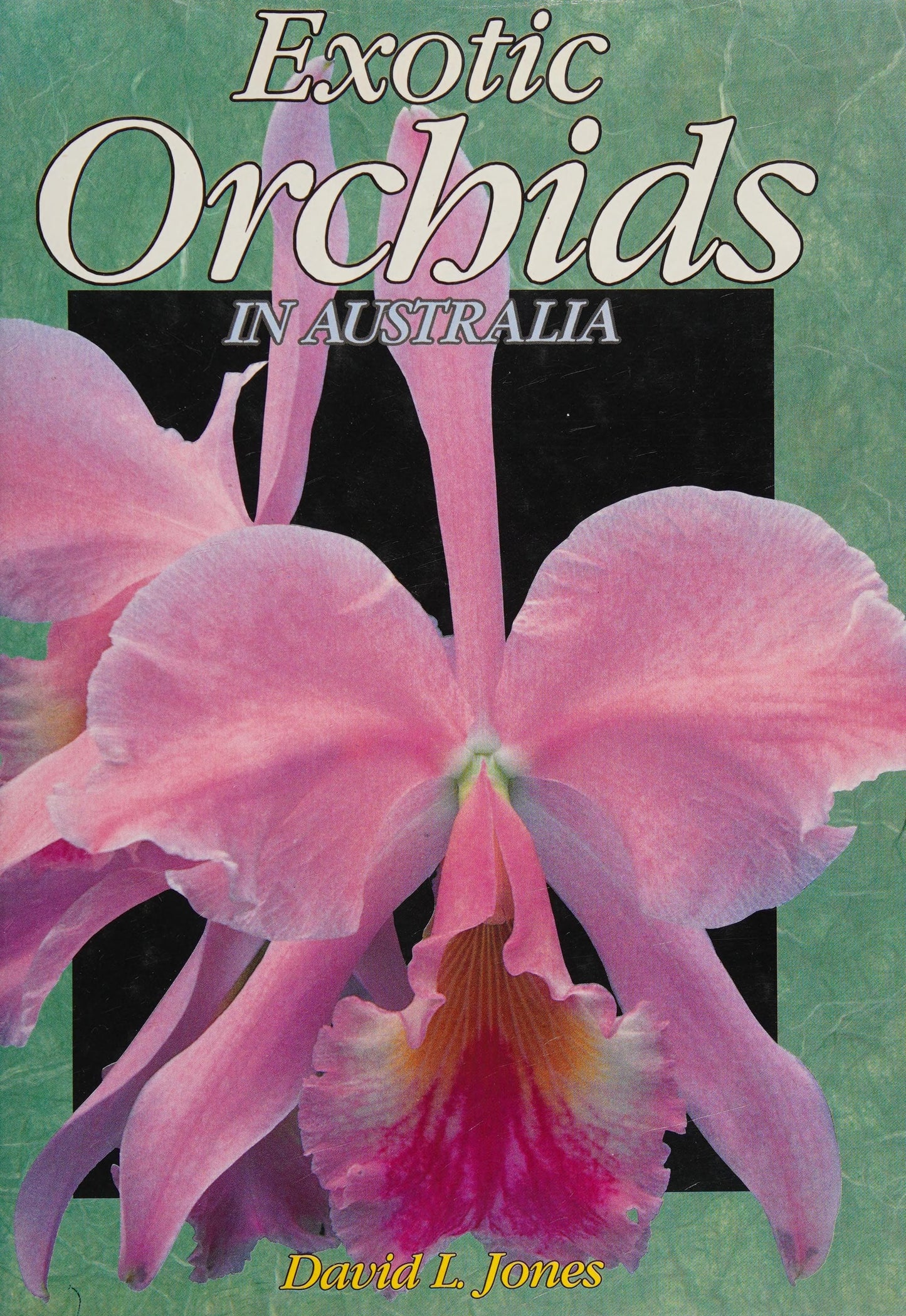 Exotic orchids in Australia by David L Jones - USED