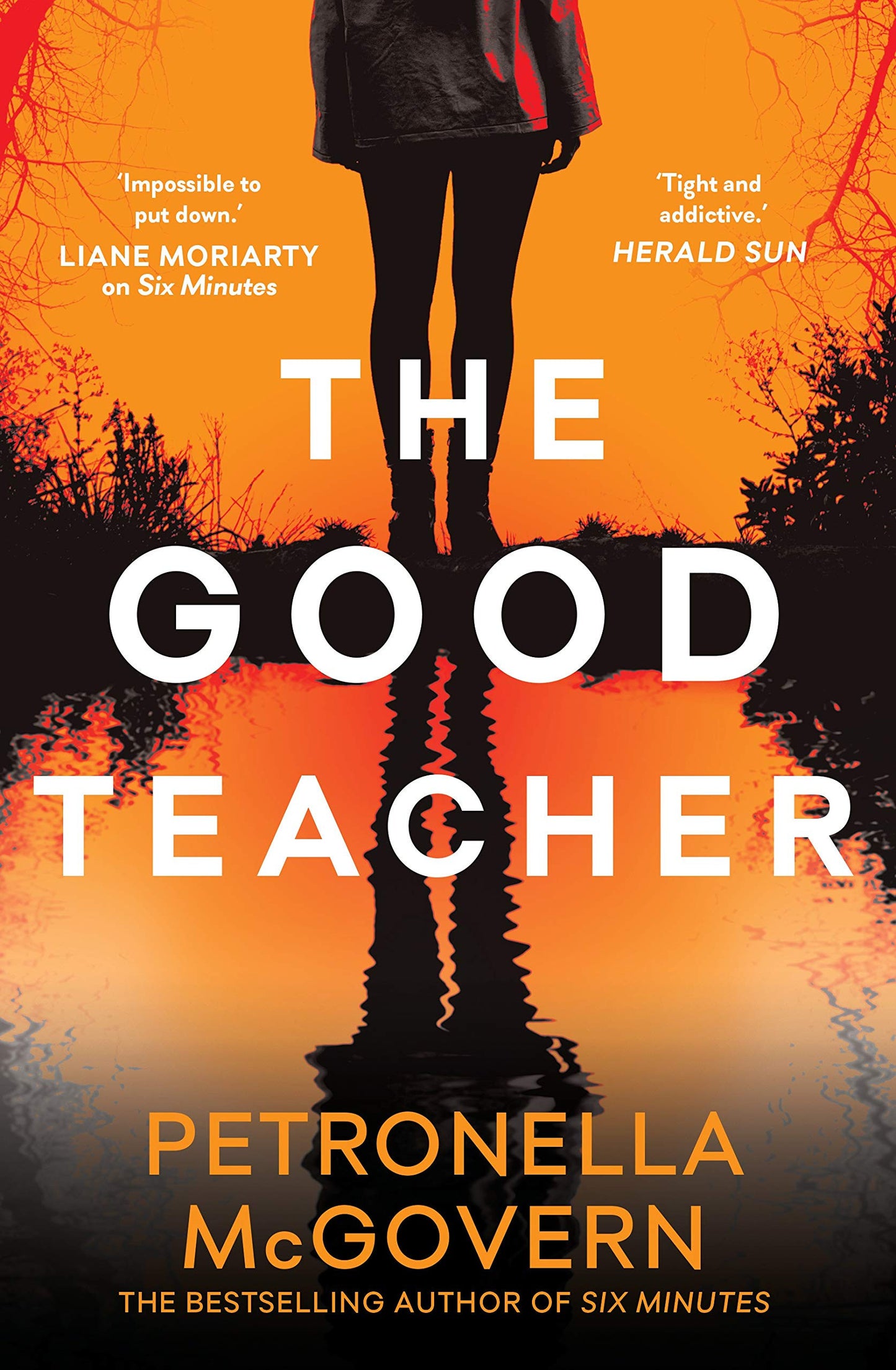 The Good Teacher by Petronella McGovern - USED