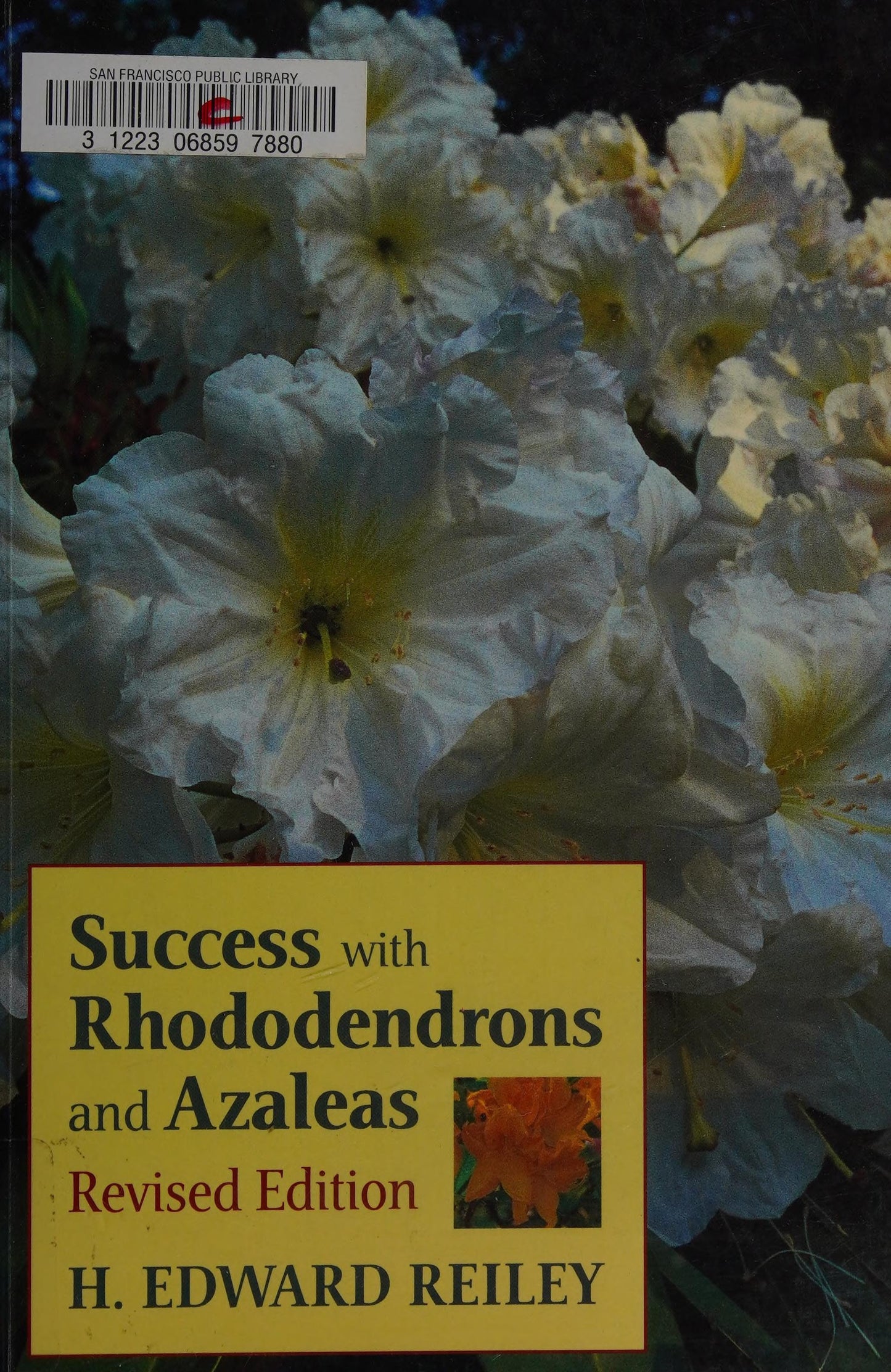 Success with Rhododendrons and Azaleas by H. Edward Reiley
