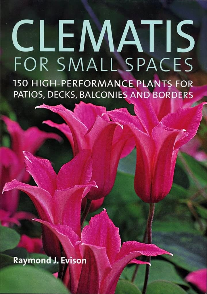 Clematis for Small Spaces by Raymond J. Evison