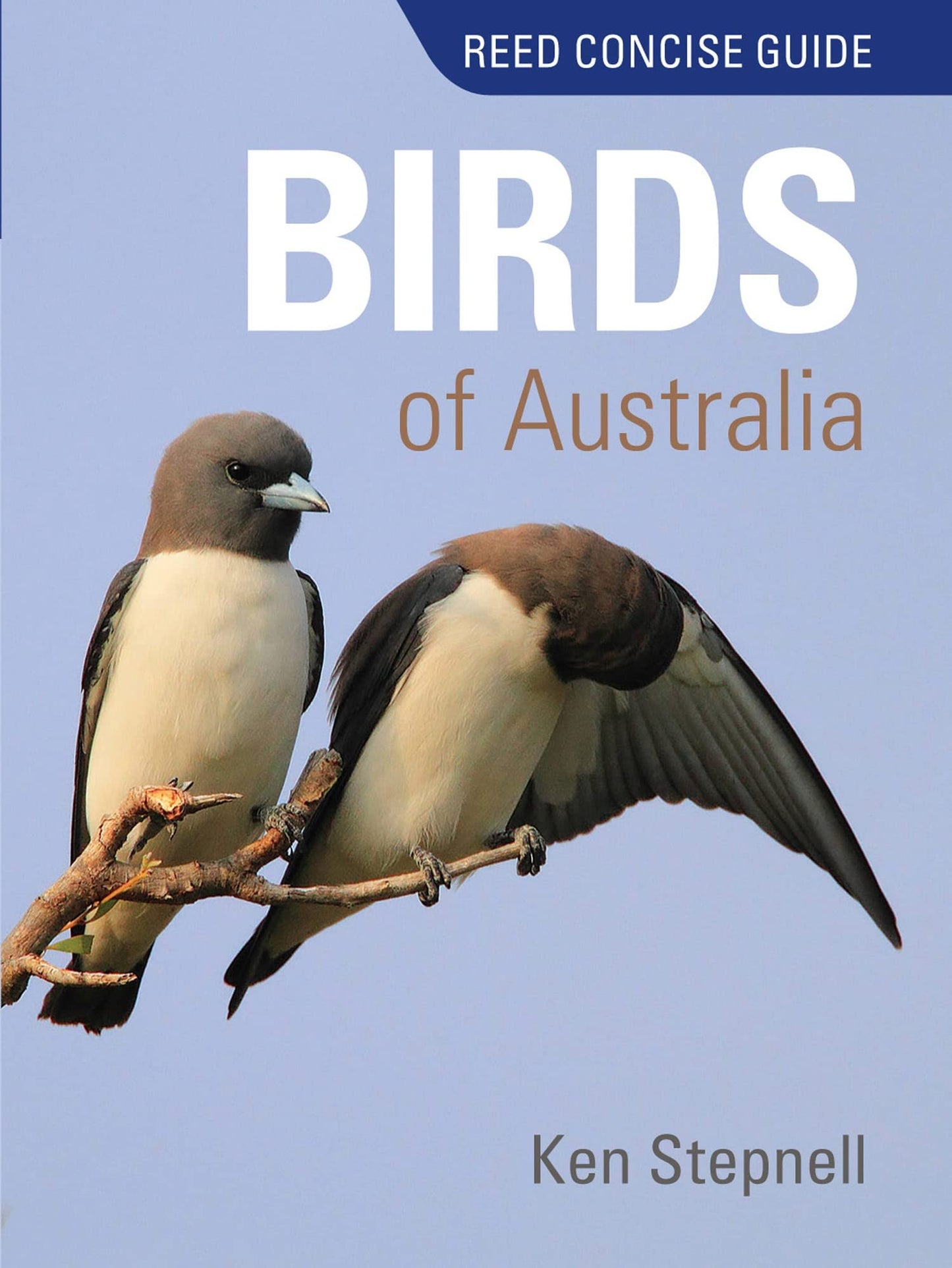 Birds of Australia by Kenneth Stepnell