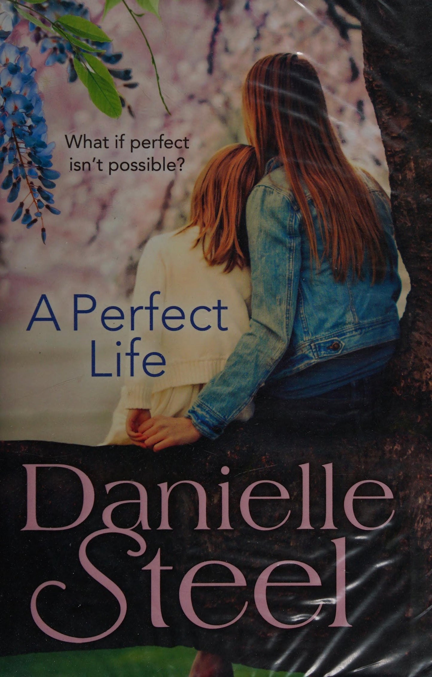 A Perfect Life by Danielle Steel - USED