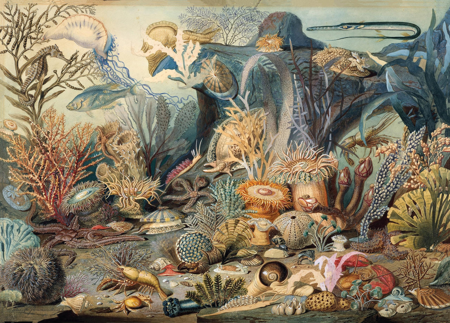 Puzzle Ocean Life by Inc Peter Pauper Press