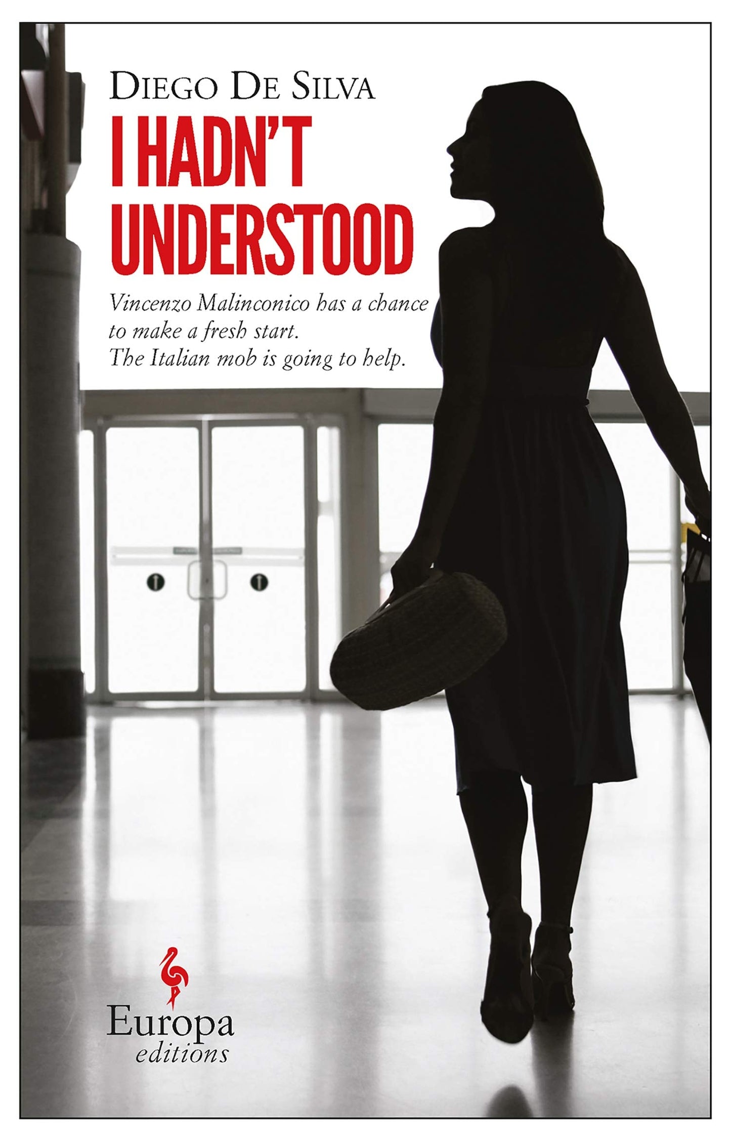 I Hadn't Understood by Diego De Silva