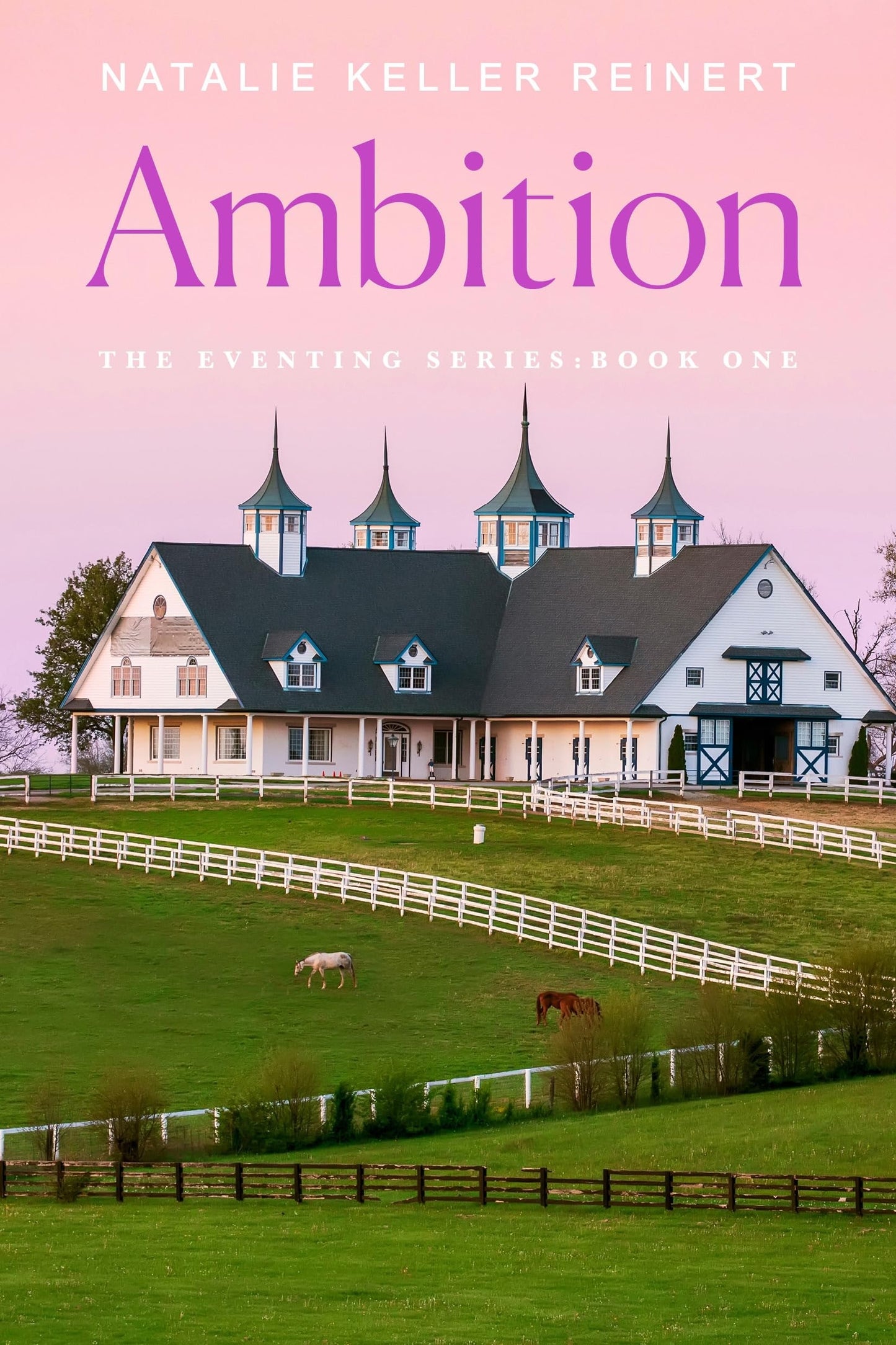 Ambition A Novel by Natalie Keller Reinert