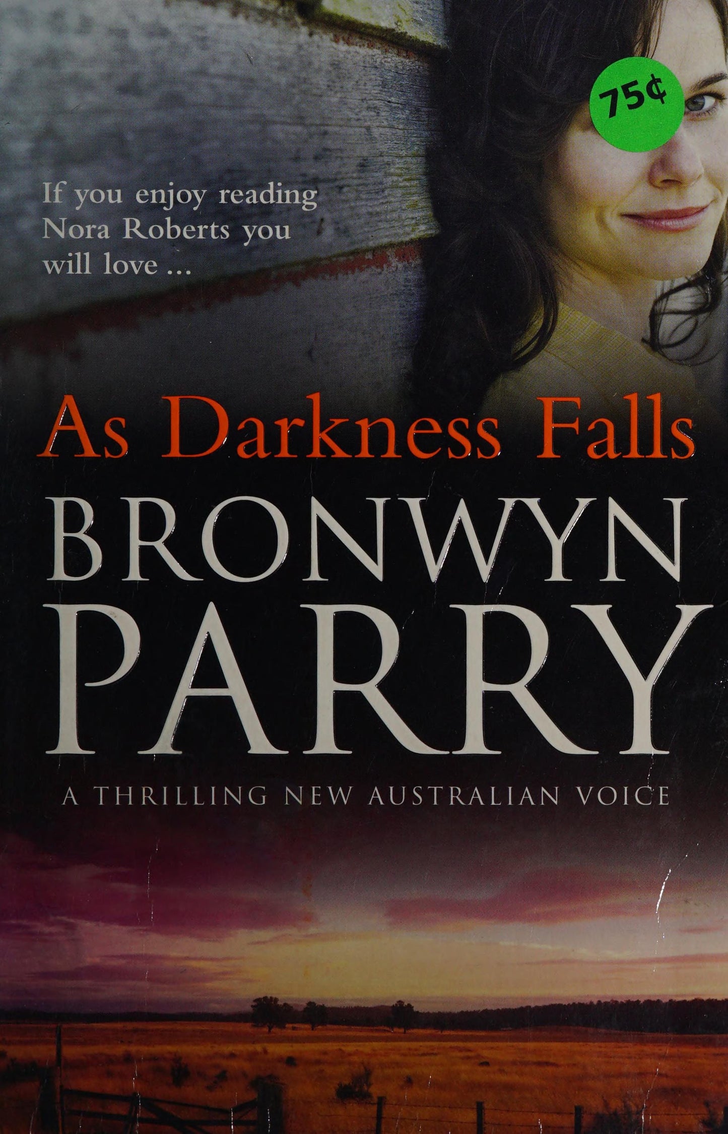 As Darkness Falls by Bronwyn Parry
