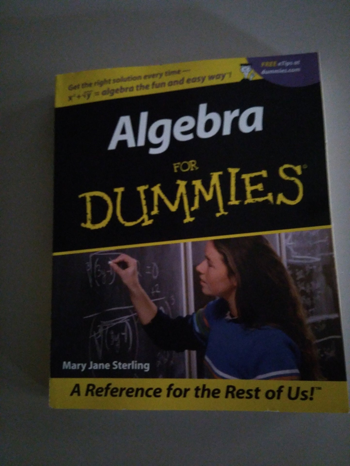 Algebra I For Dummies by Mary Jane Sterling - USED