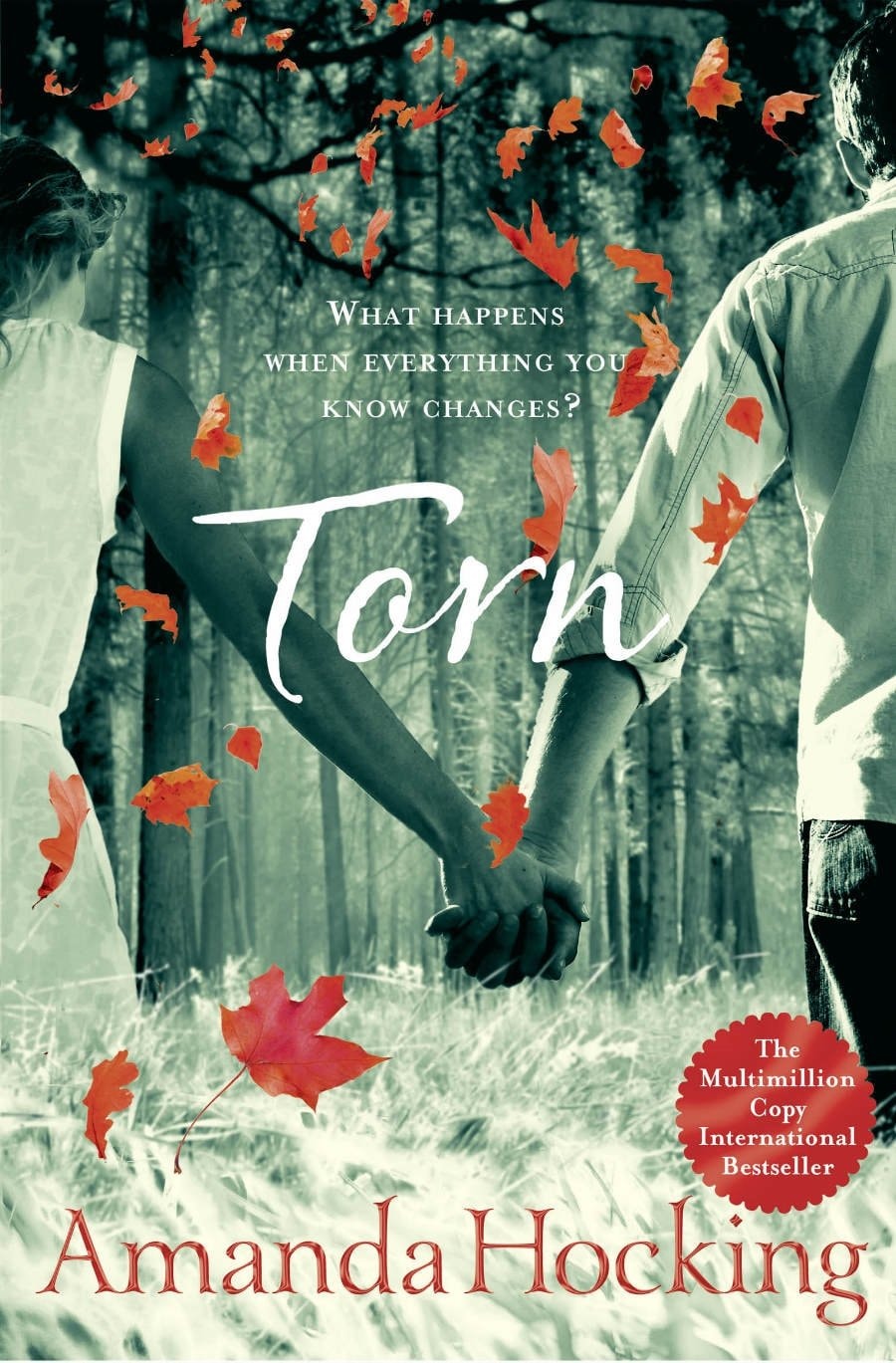 Torn by Amanda Hocking - USED