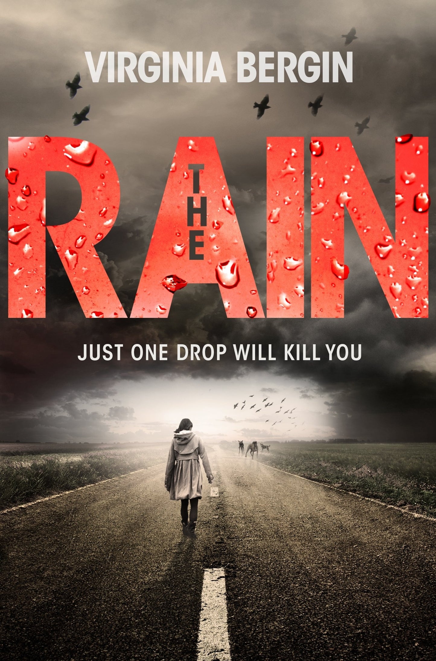 The Rain by Virginia Bergin - USED