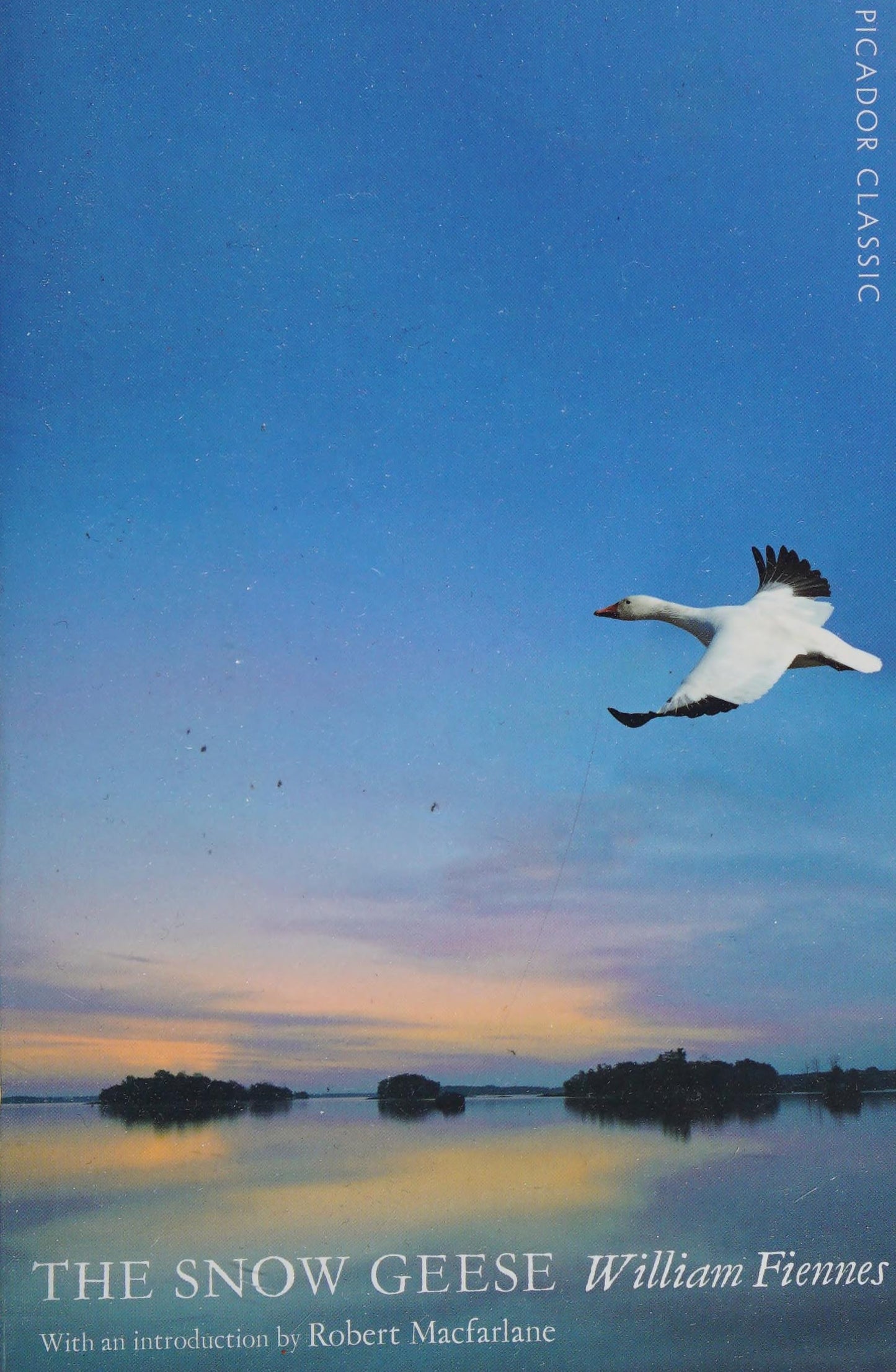 The Snow Geese by William Fiennes
