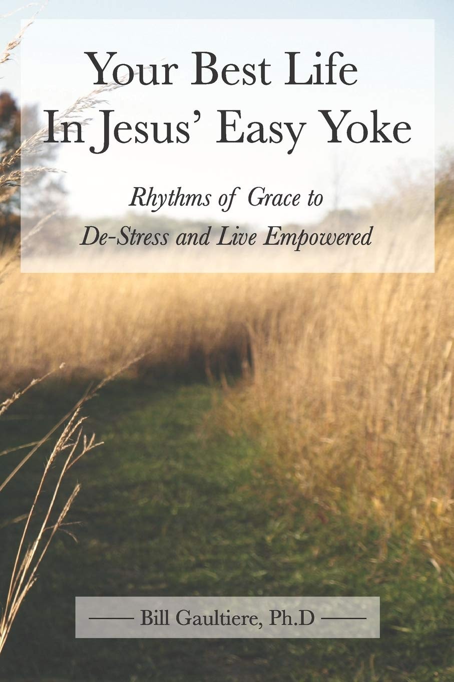 Your Best Life in Jesus' Easy Yoke - Rhythms of Grace to de-Stress and Live Empowered - USED