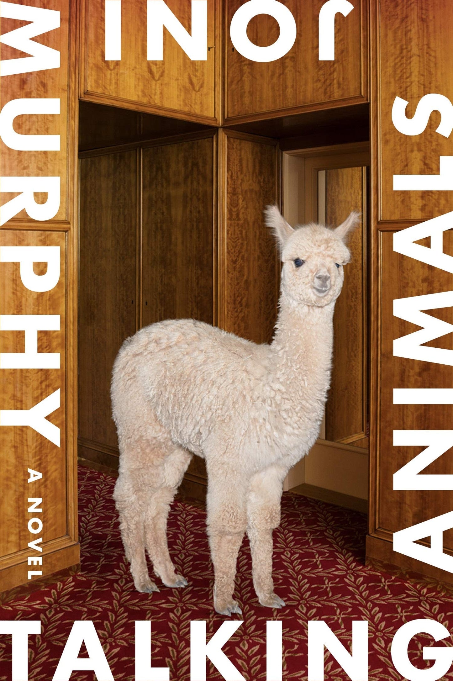 Talking Animals A Novel by Joni Murphy