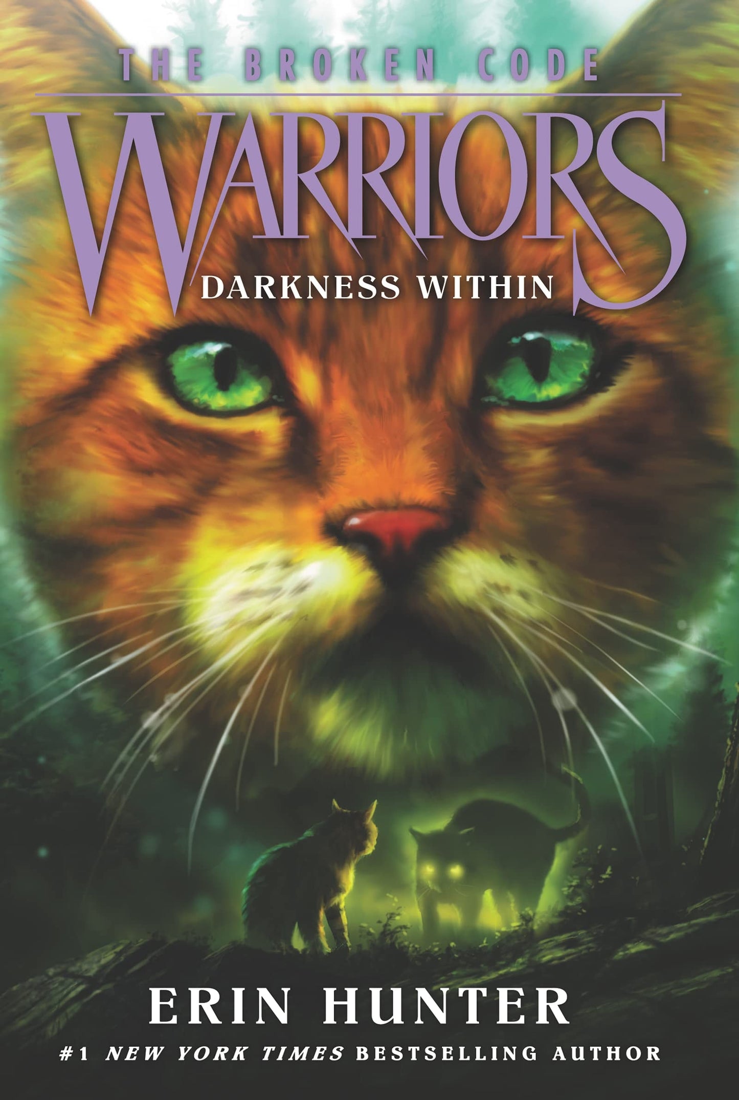 Warriors: the Broken Code #4: Darkness Within by Erin Hunter