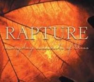 Rapture Everyday Moments of Bliss by ABC Books - USED