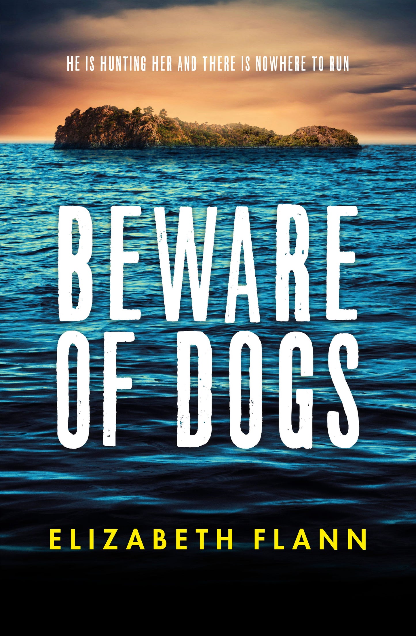 Beware of Dogs by Elizabeth Flann - USED