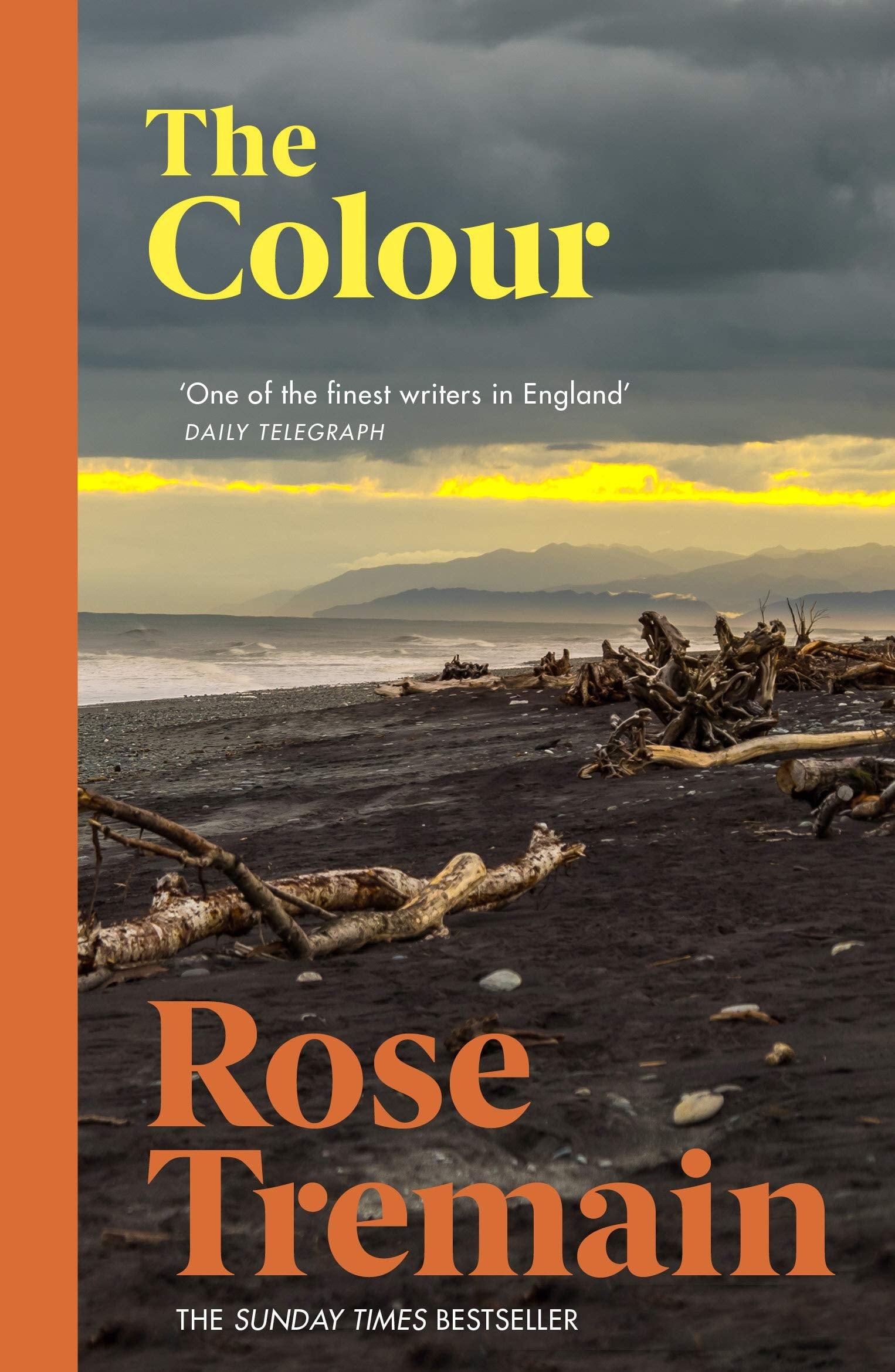 The Colour by Rose Tremain Vintage