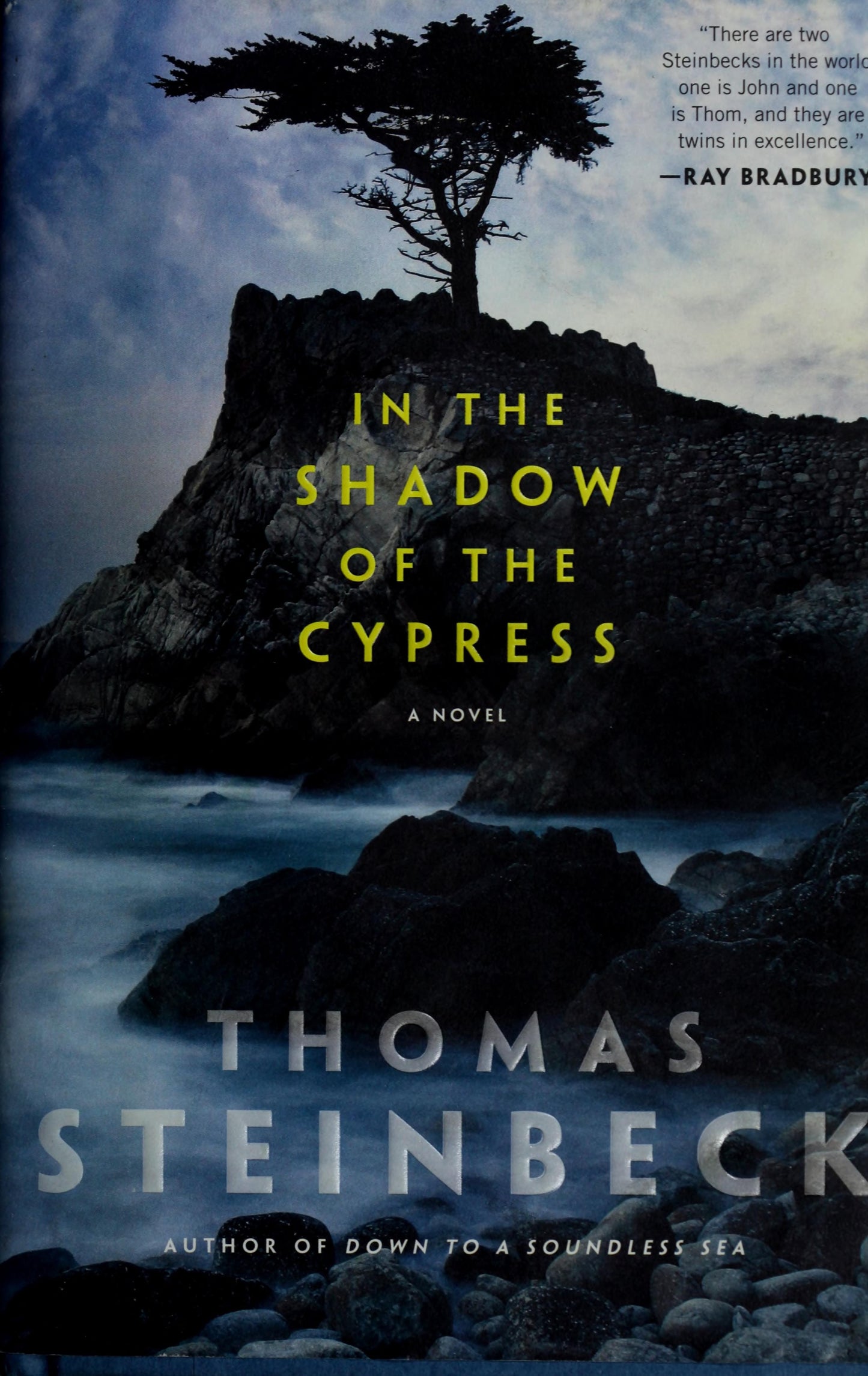 In the Shadow of the Cypress by Thomas Steinbeck