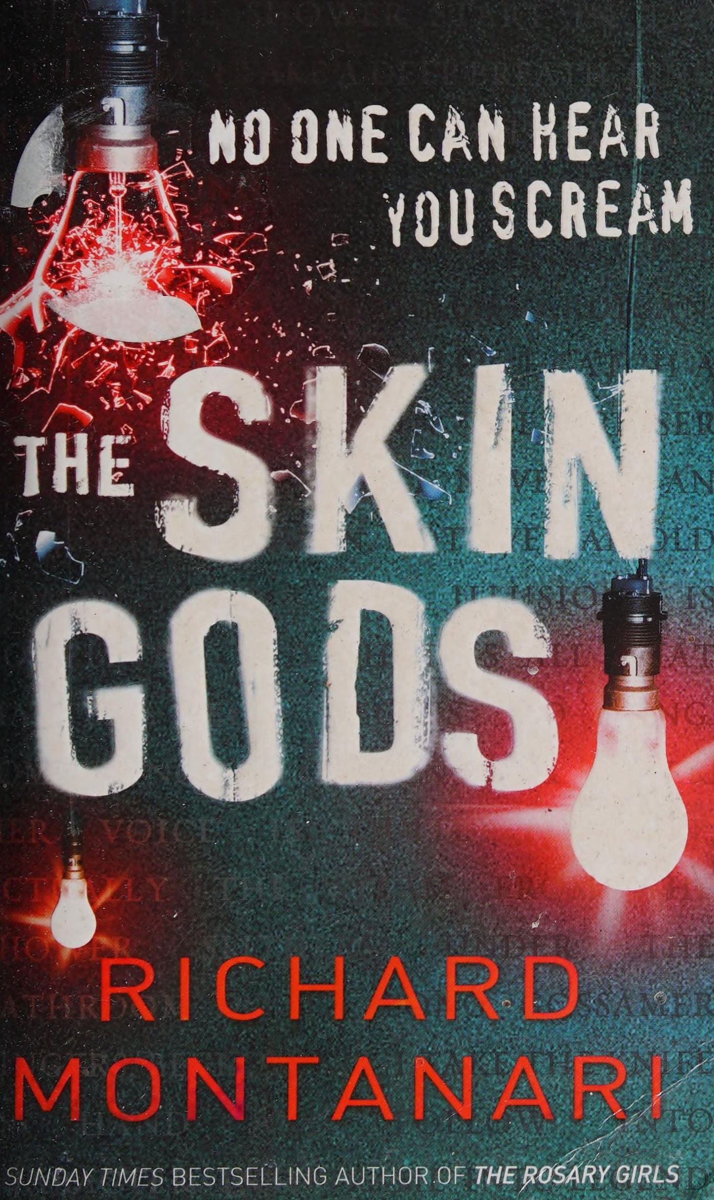 The Skin Gods by Richard Montanari - USED
