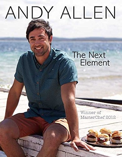 The Next Element by Andy Allen,Andrew P. Allen