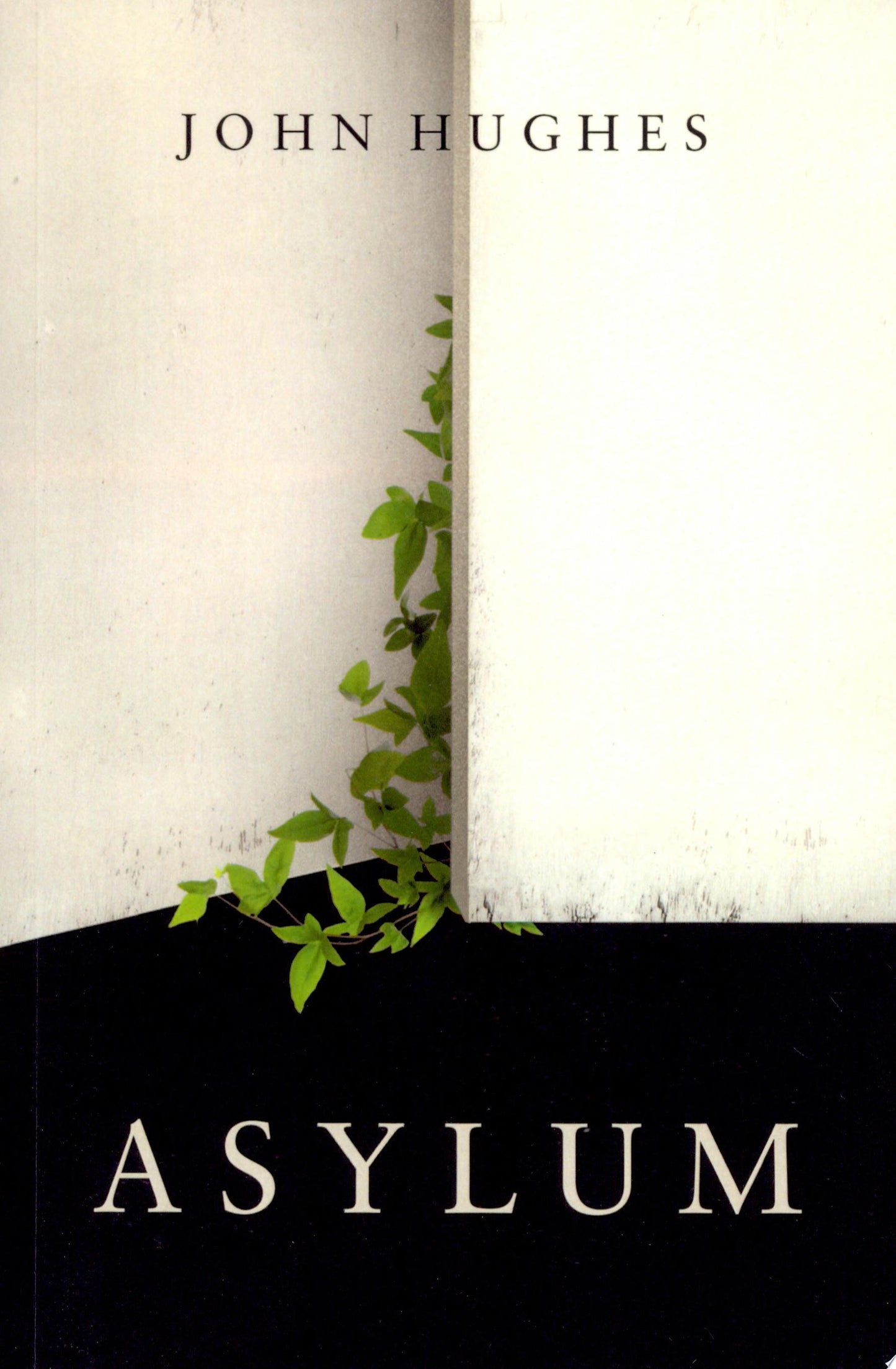 Asylum by John Hughes