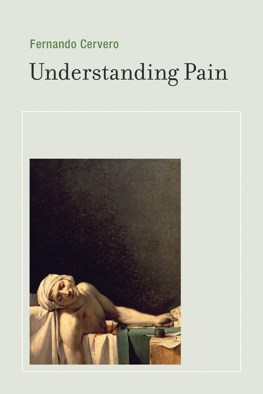 Understanding Pain Exploring the Perception of Pain by Fernando Cervero