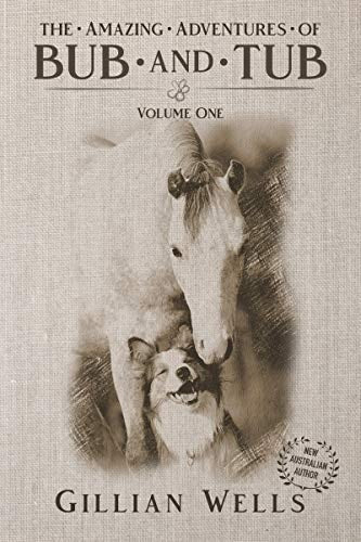 The Adventures of Bub & Tub Volume One by Gillian Wells