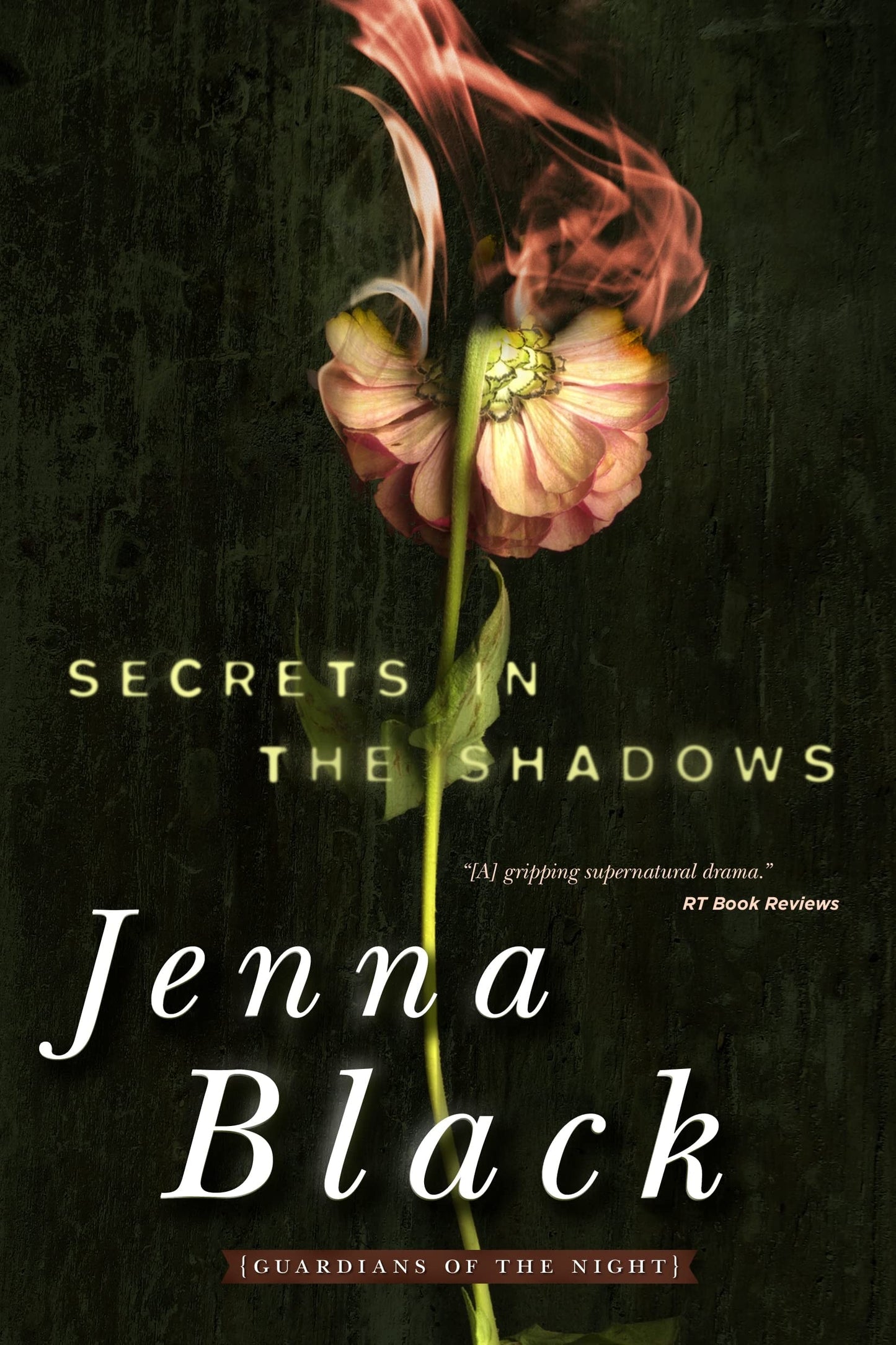 Secrets in the Shadows Guardians of the Night by Jenna Black