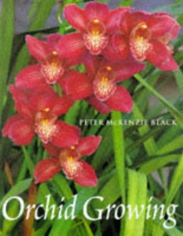 Orchid Growing by Peter McKenzie Black,Wilma Rittershausen - USED